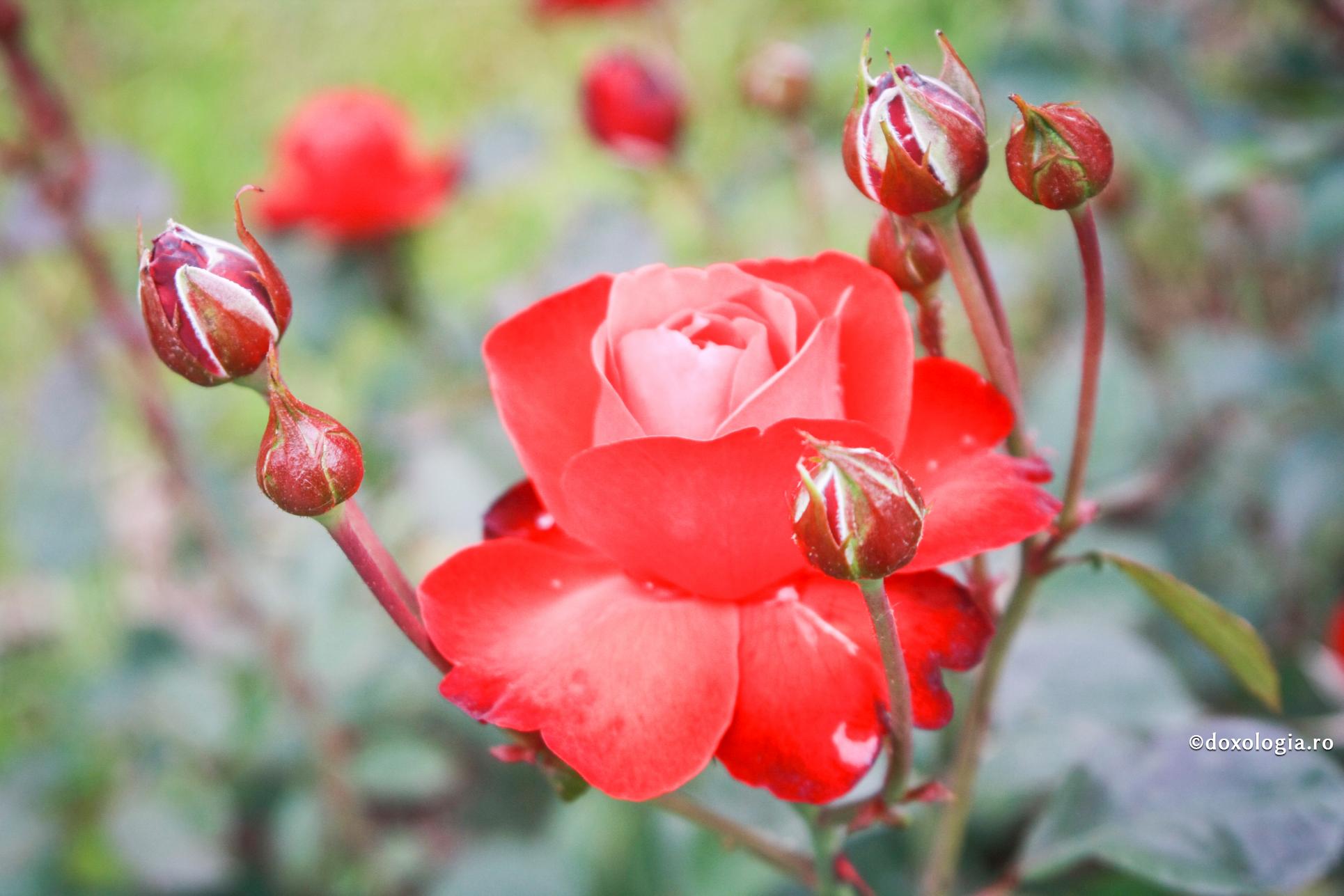 Viața nu poate fi înțeleasă fără schimbare