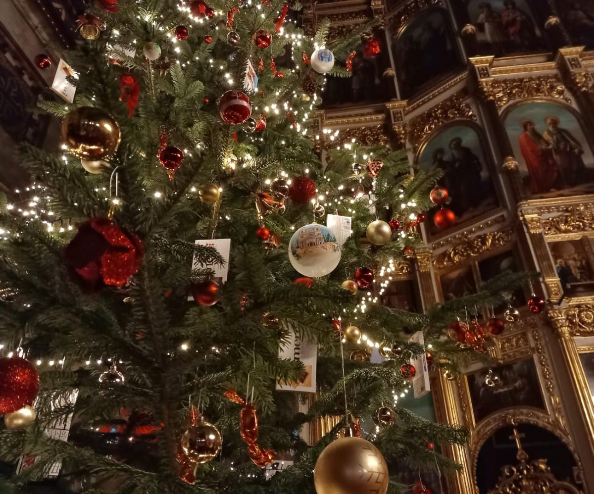 (Video) Praznicul Nașterii Domnului la Catedrala Mitropolitană din Iași