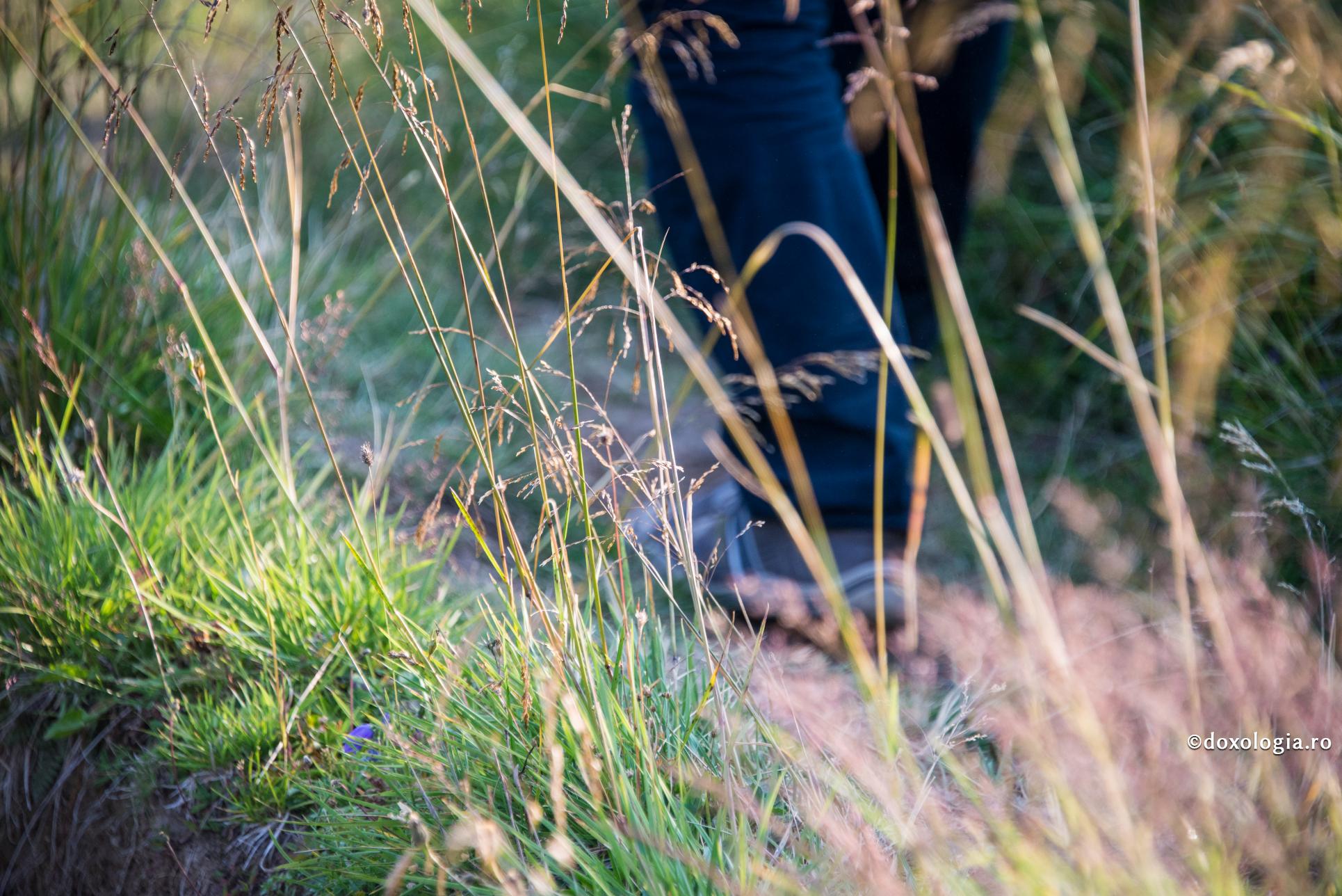 Calea Domnului – o călătorie spre cele de jos