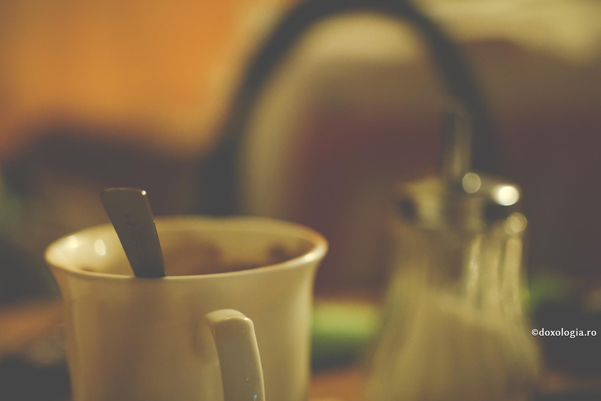 Tânărul monah cel foarte credincios și mărinimos, tămăduit de Hristos