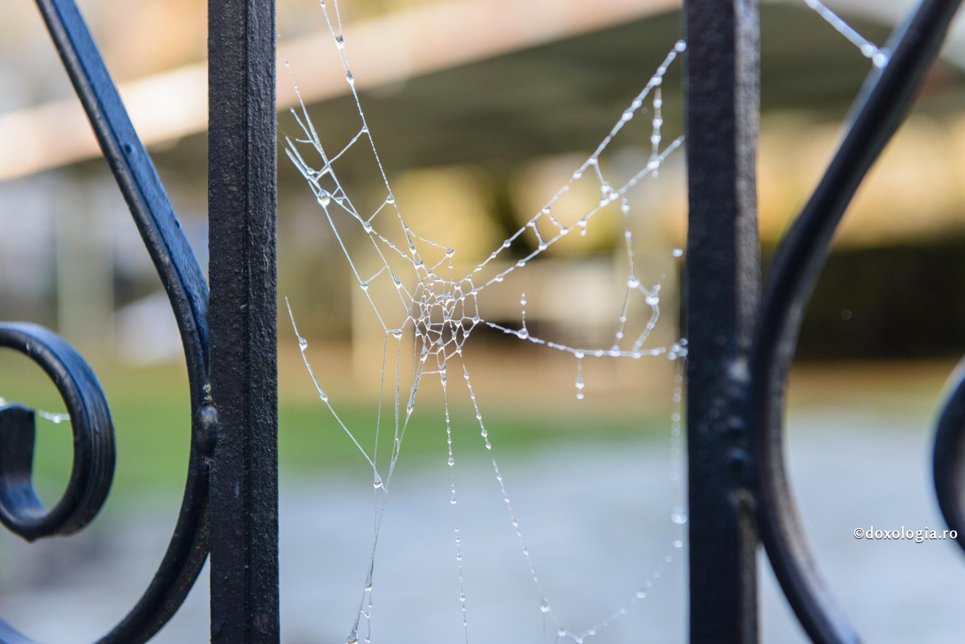 De ce se face casa iad? O istorioară adevărată