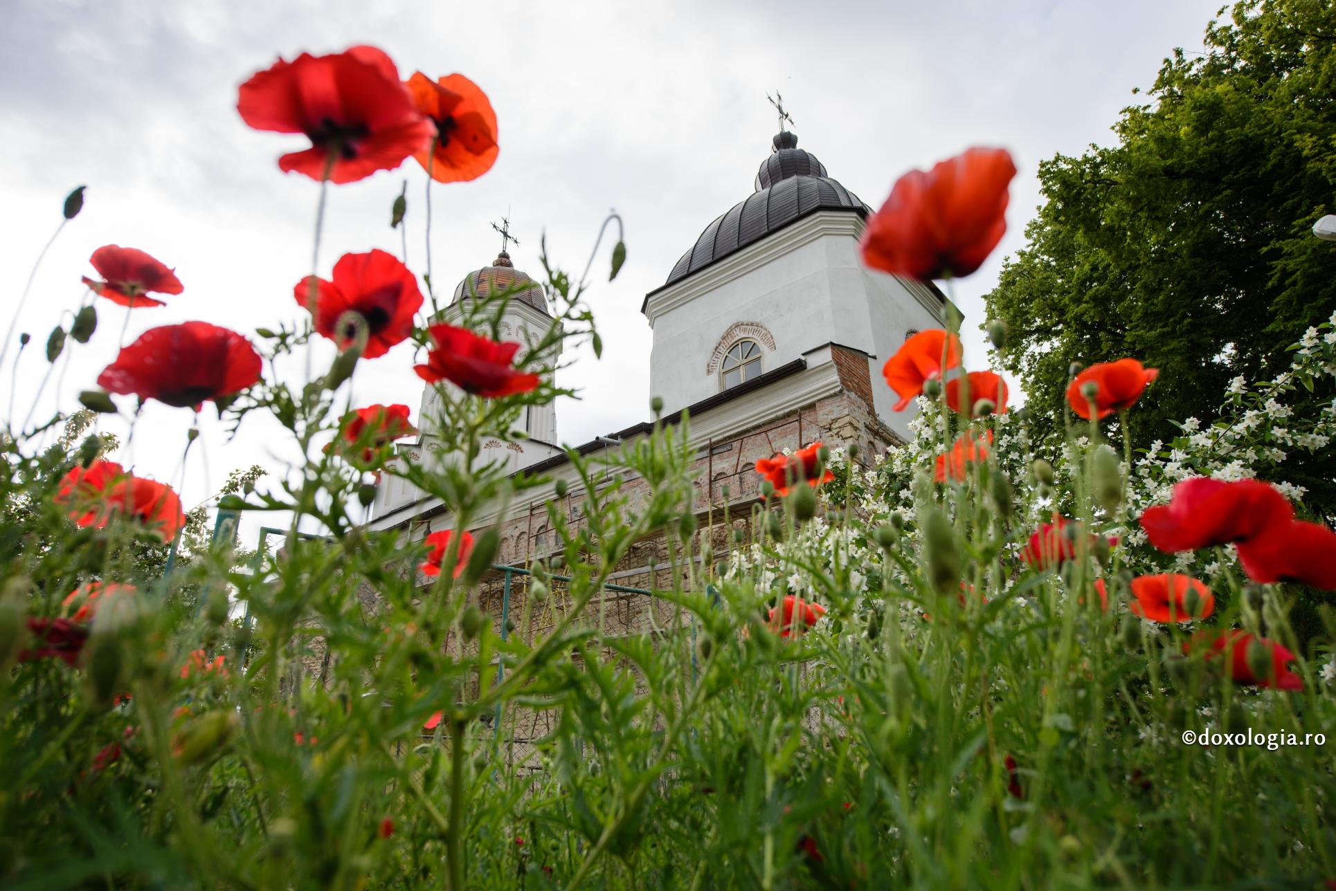 Fără adevărata credință ortodoxă în Dumnezeu, fără smerenie și dragoste, nimeni nu a ajuns la mântuire