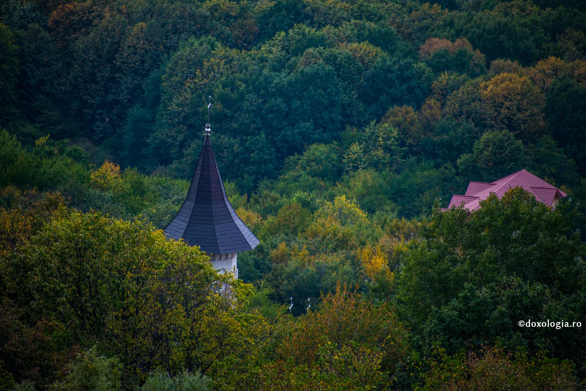 Evenimente ce vor avea loc în Arhiepiscopia Iașilor, în perioada 8-14 ianuarie 2023