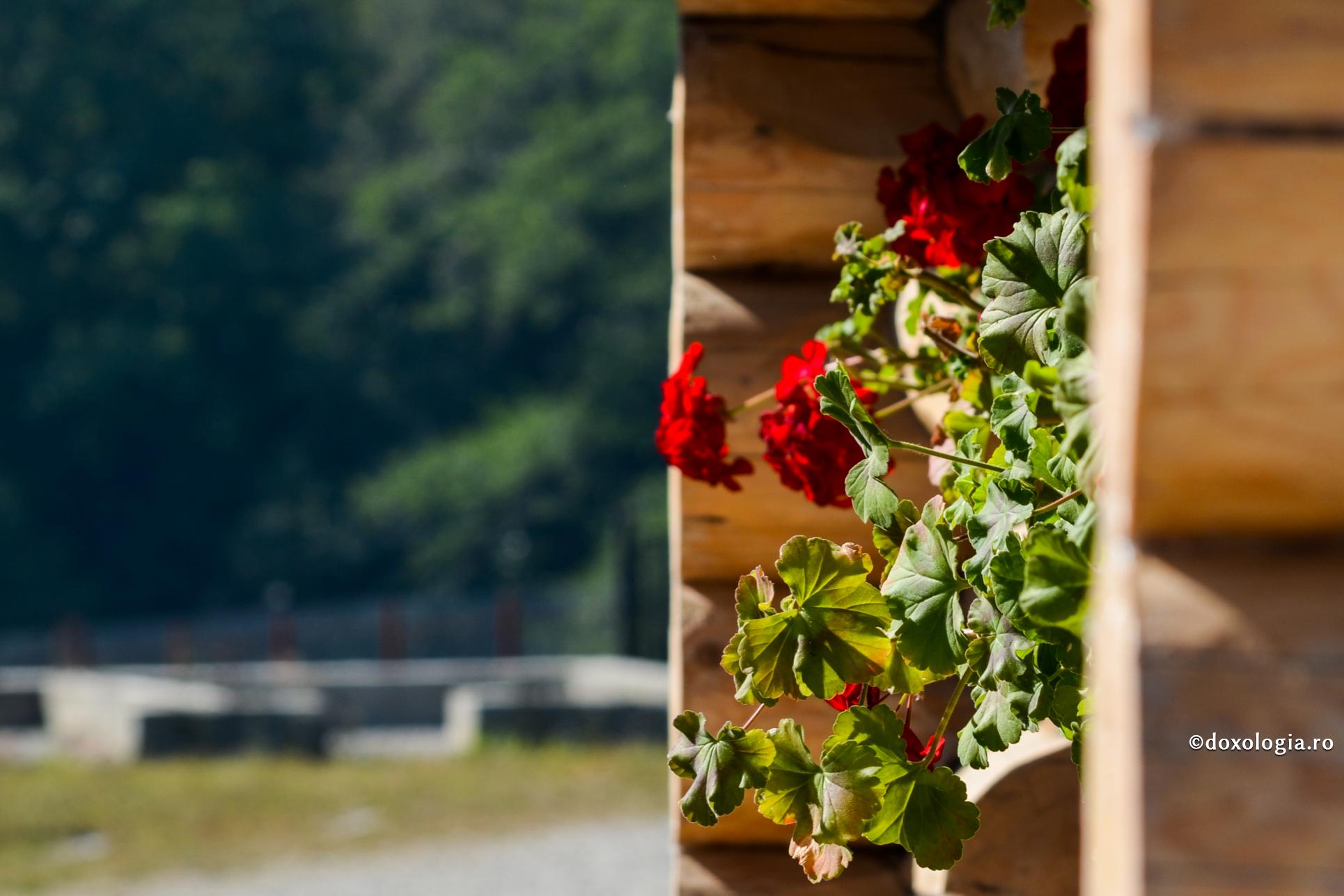 Frumusețea interioară, mai de preț decât cea exteriorară