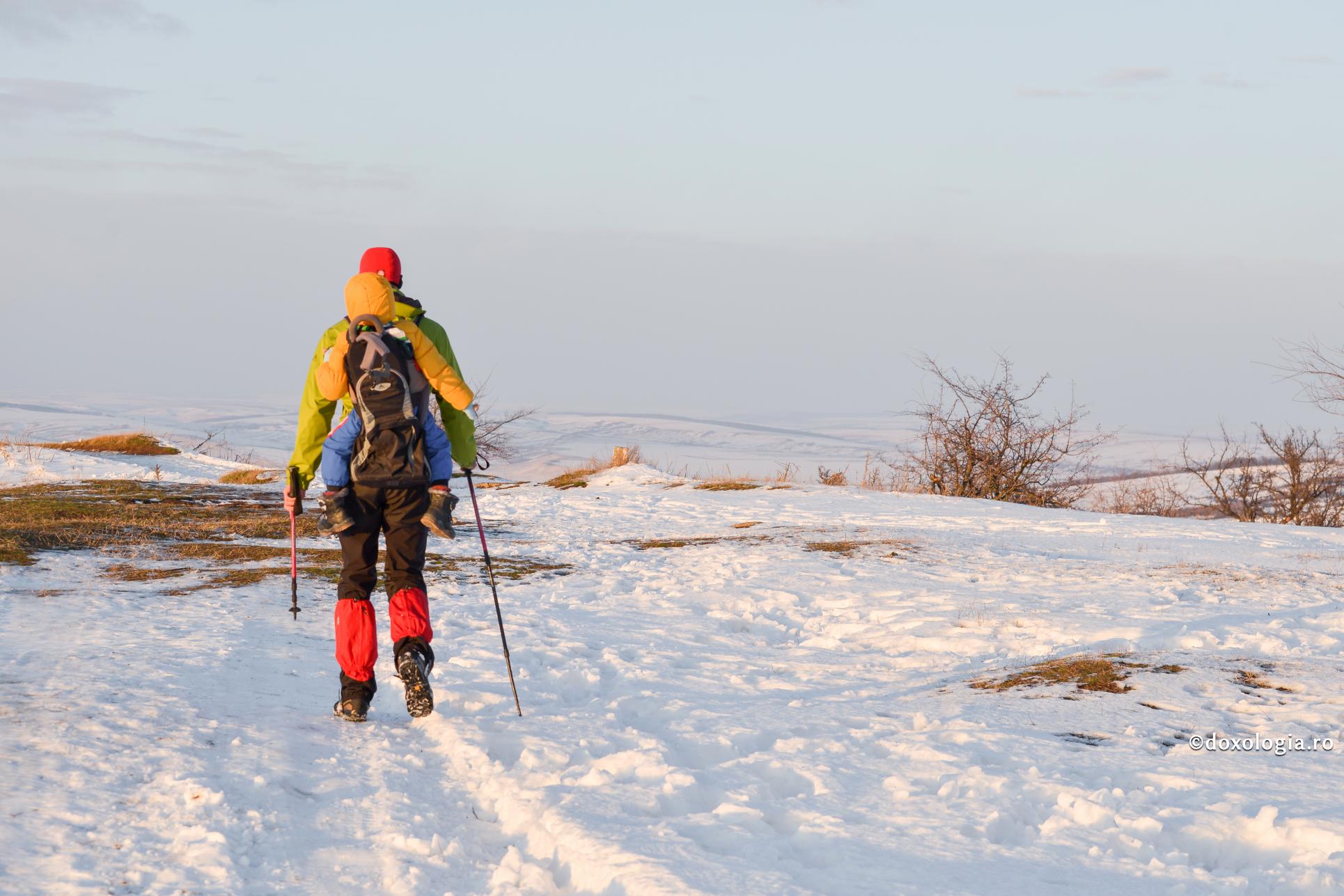 Ispitele sunt un leac amar