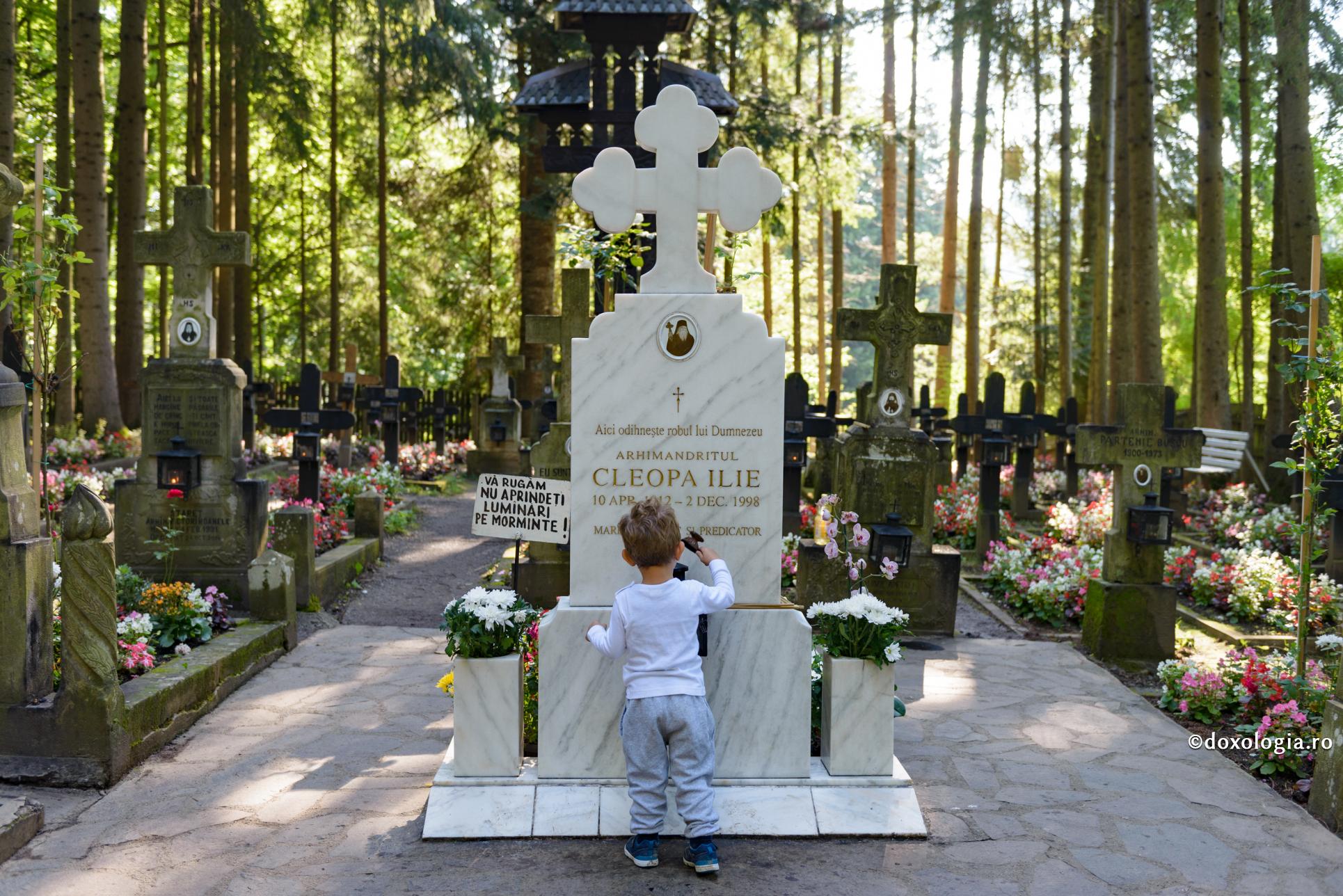 Acasă, printre străini