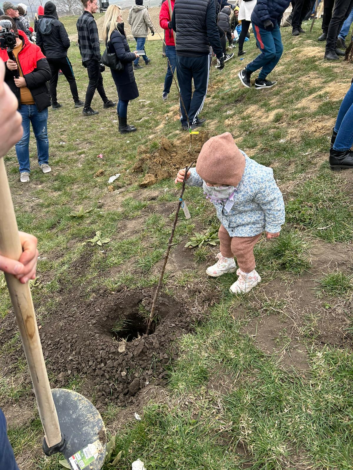 Parohia „Sfântul Nicolae” din Tăutești, un loc plin de viață: S-au plantat peste 700 de copaci