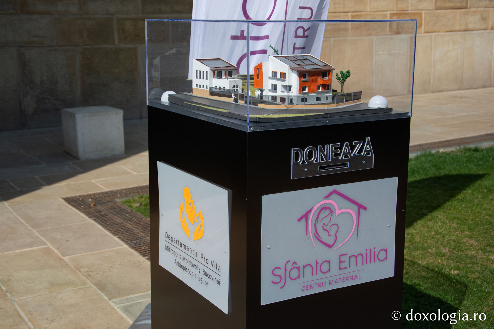 „Hai și tu la Marș” – activitate de promovare a Marșului pentru viață în Iași