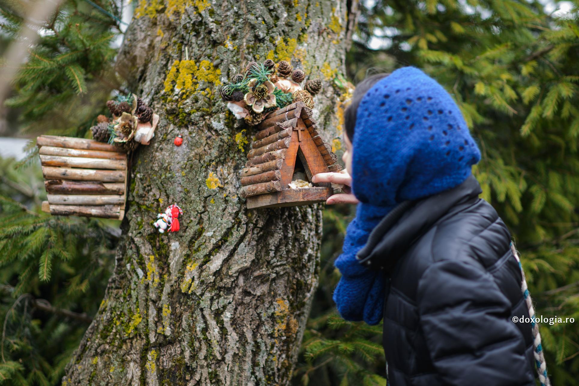 Foto: Oana Nechifor Ecologizarea mediului înconjurător prin „ecologizarea” noastră duhovnicească