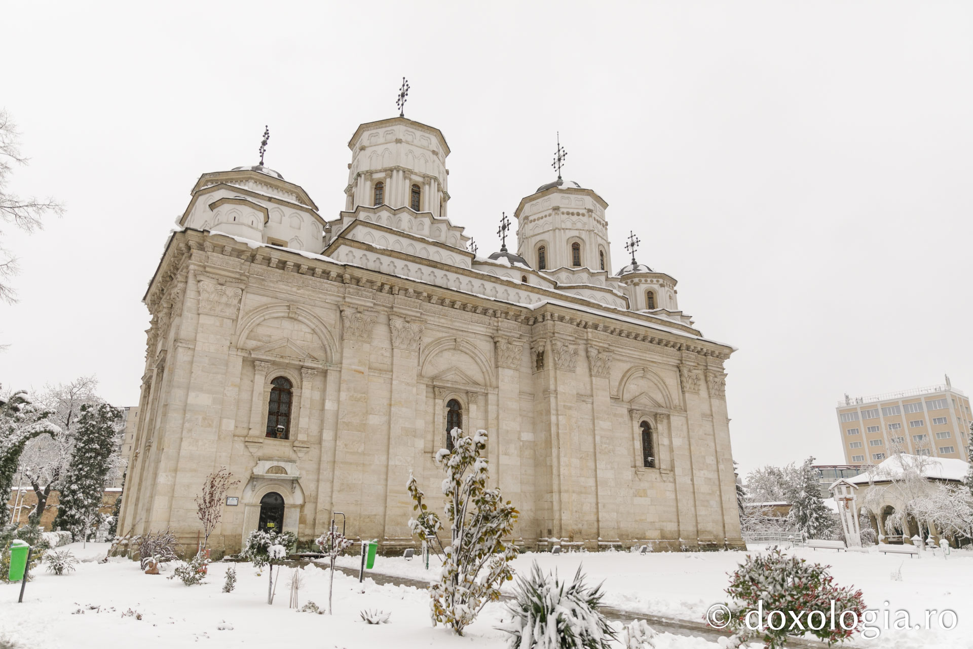(Foto) Flori de zăpadă în săptămâna Floriilor