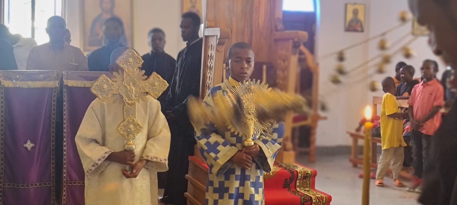 Să înflorim şi prin beton!