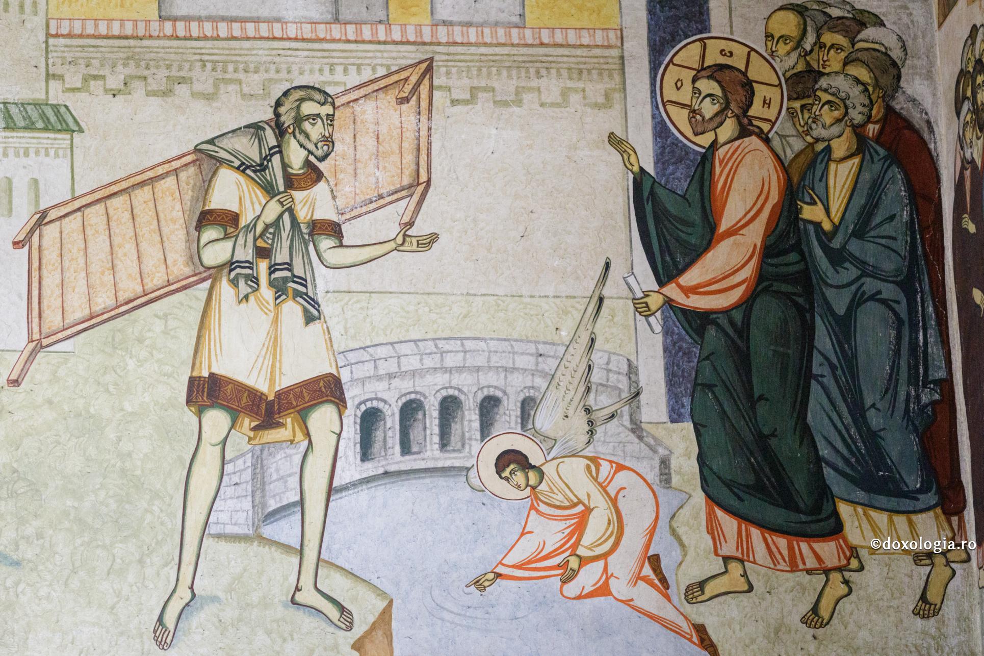 Vitezda – clinica medicală a Cerului