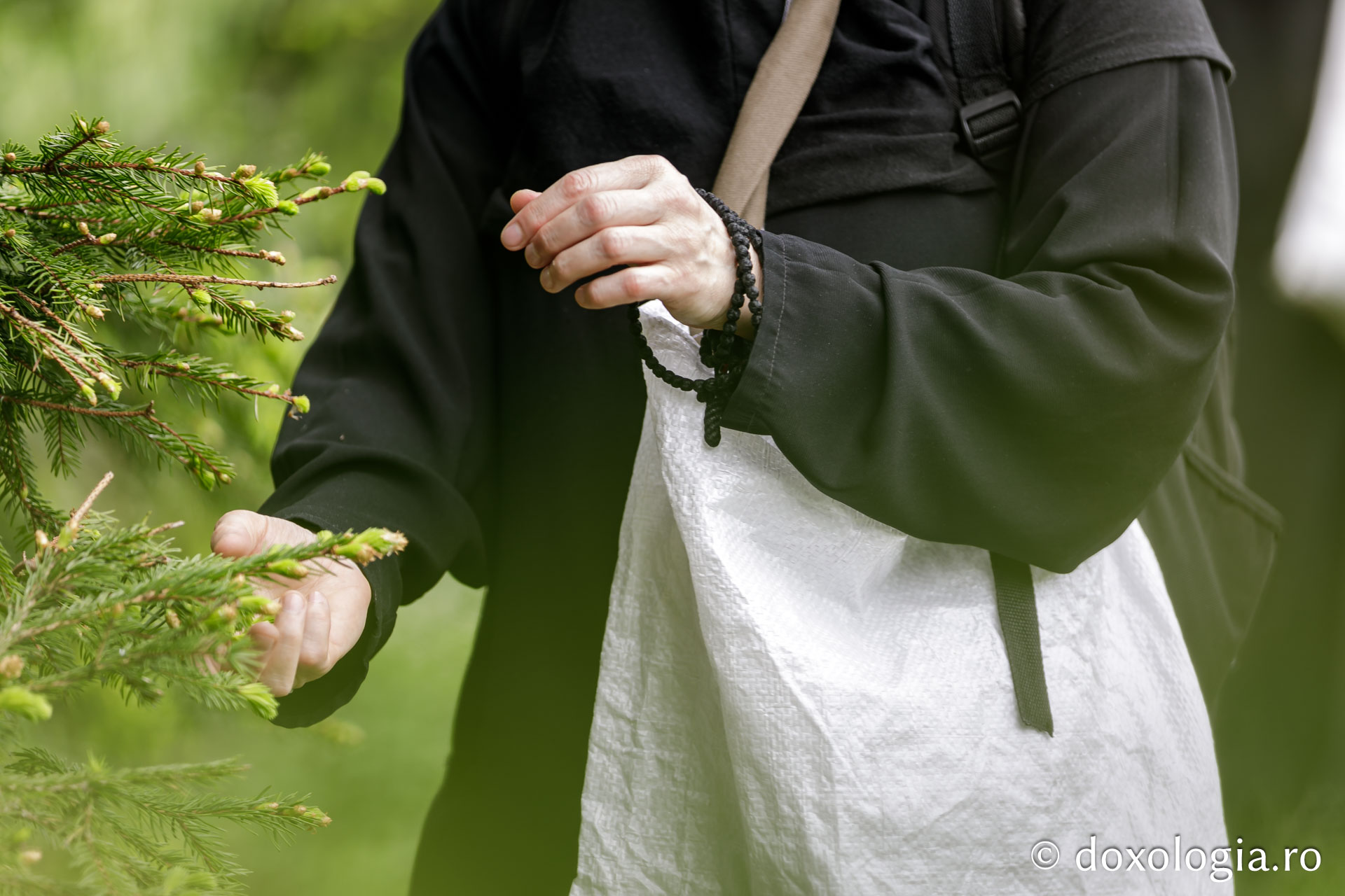(Fotoreportaj) Leacuri pentru cei din lume – povestea neștiută a laboratorului de la Mănăstirea Paltin