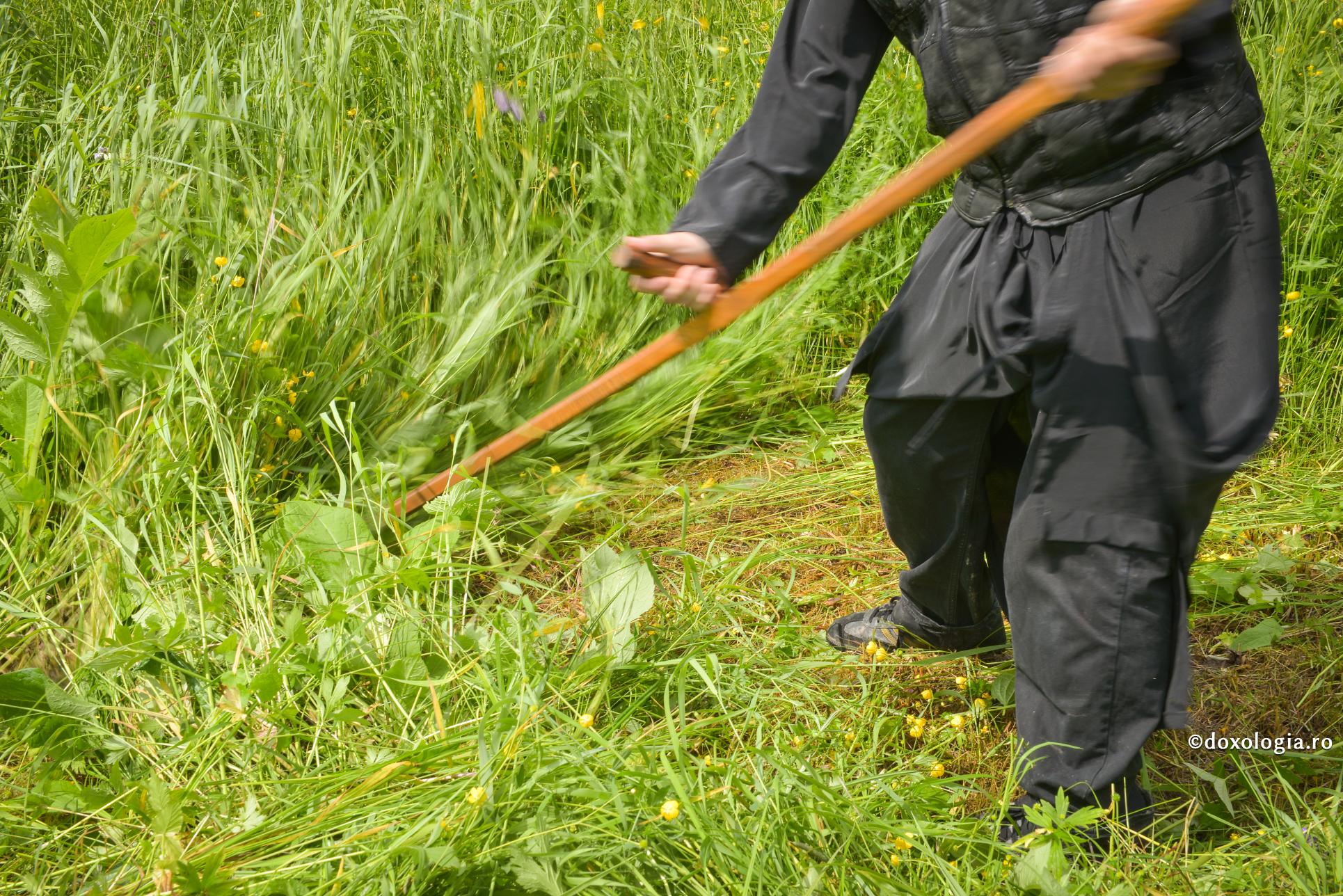 Pildă de luare aminte la vorbele duhovnicului