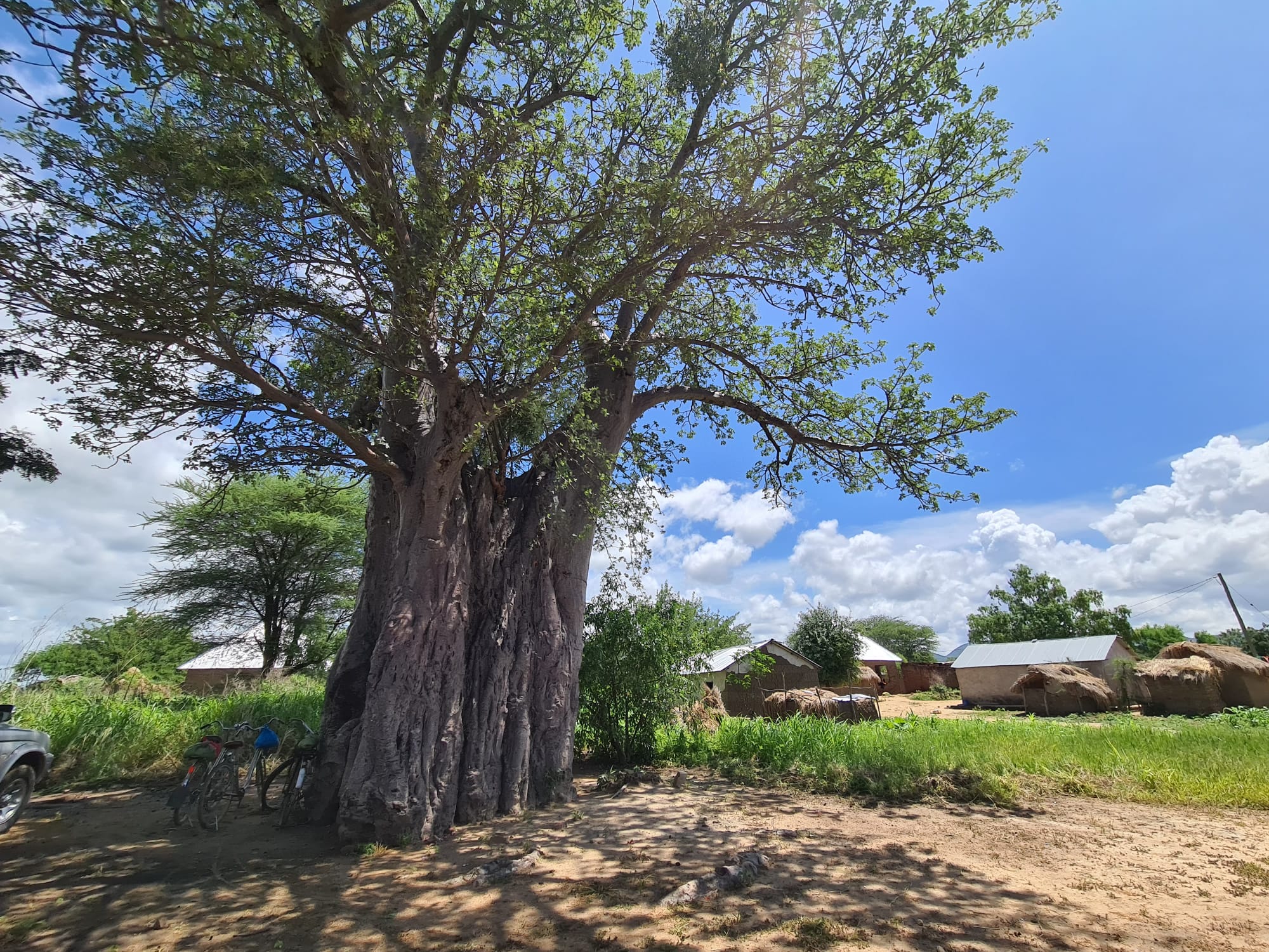 Mapogoro – satul cu hramul Sfinților Cosma şi Damian