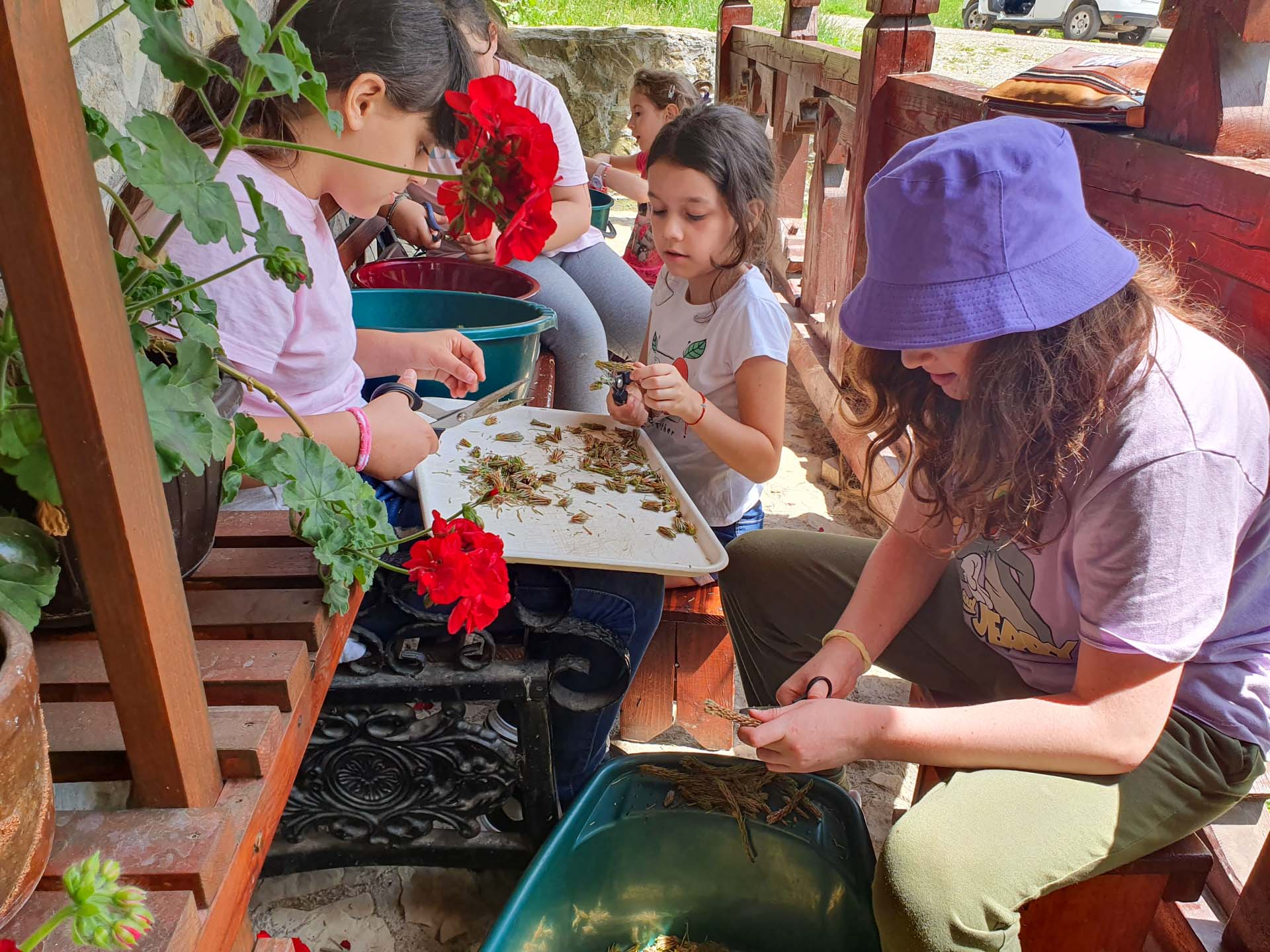 Tabără de educație și creație la Mănăstirea Paltin