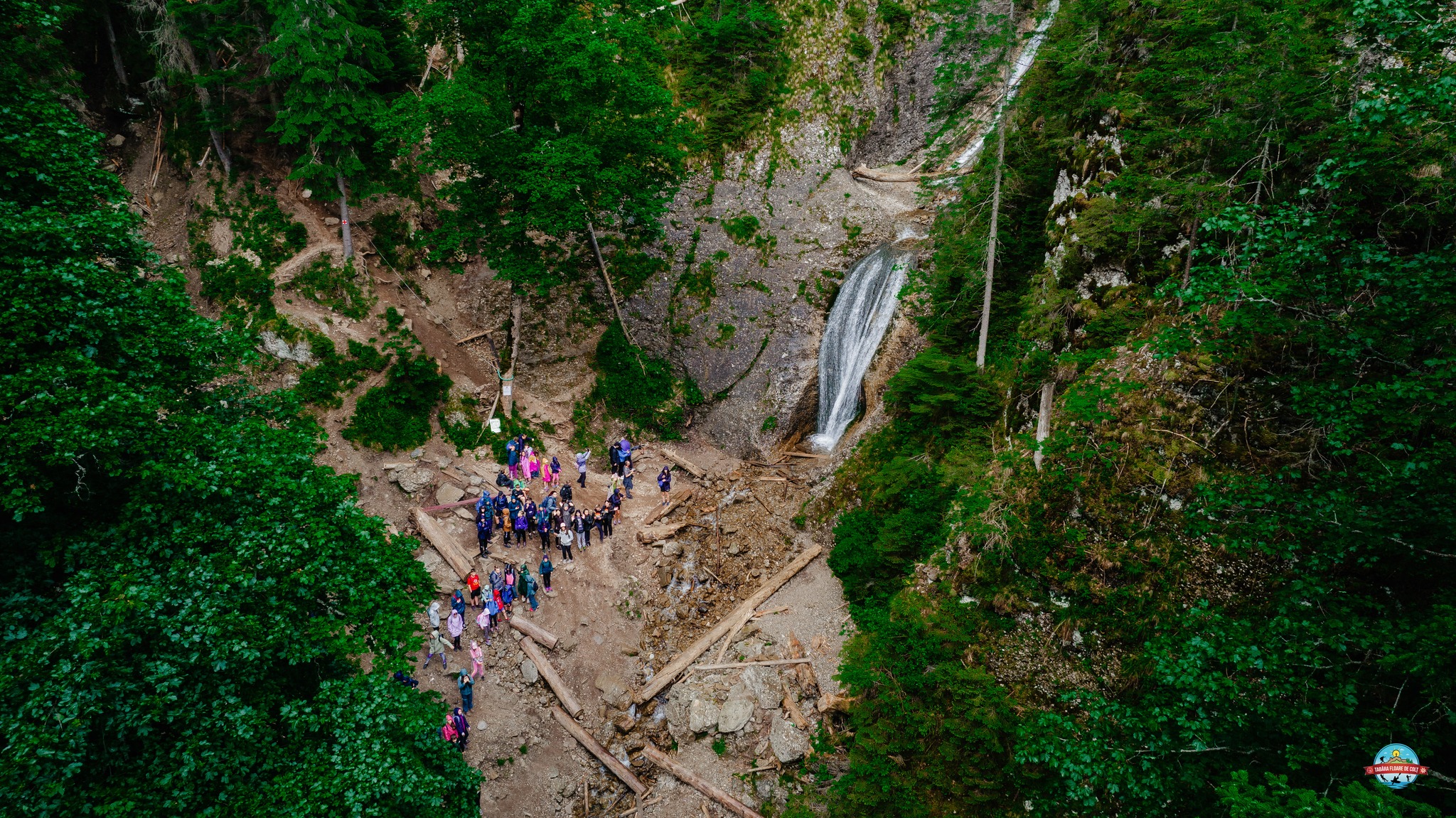 Copii în Tabăra Floare de colț Copii în Tabăra Floare de colț