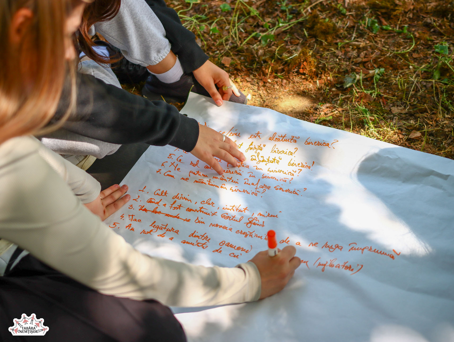 Tinerii aflați în tabăra Nemțișor