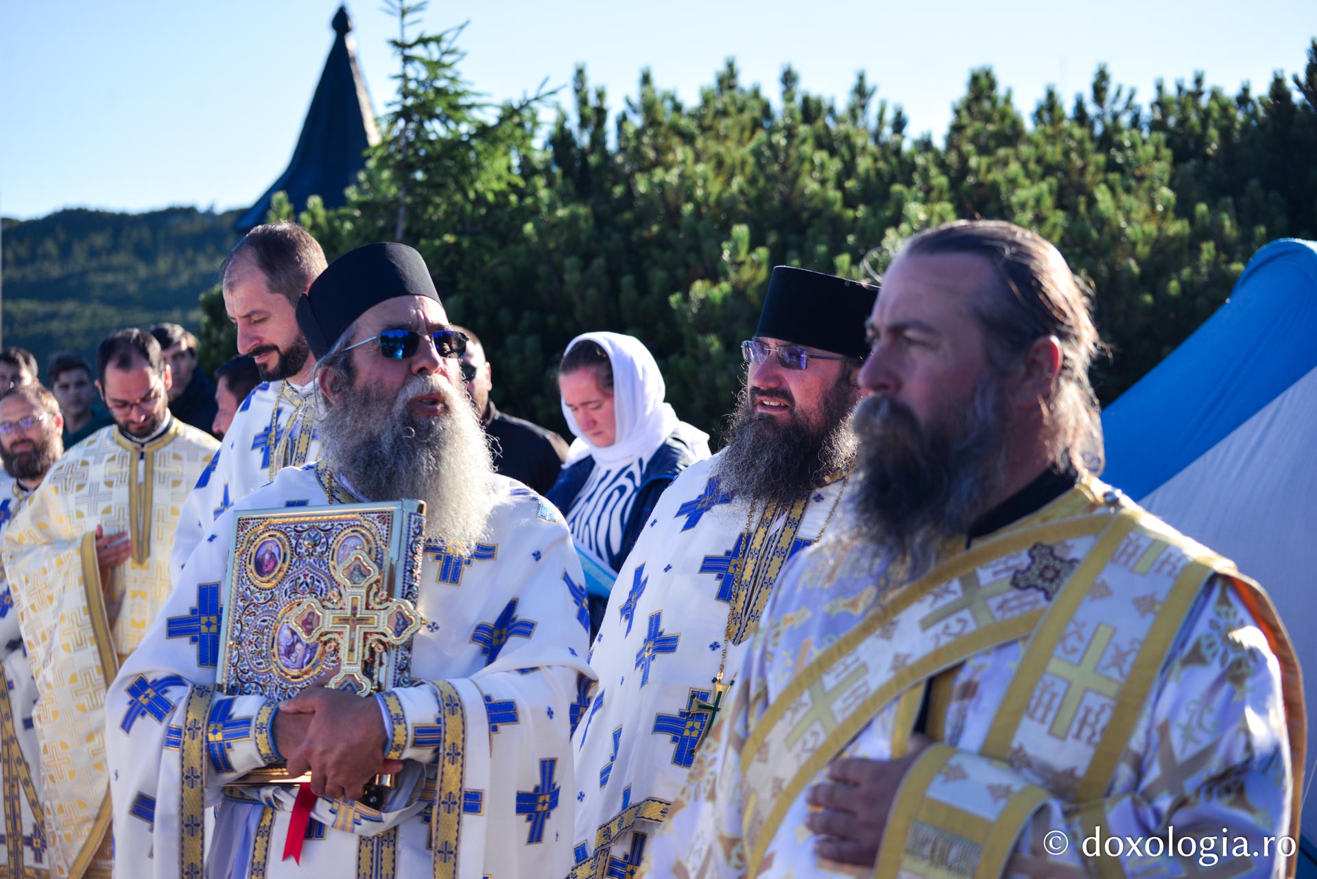 Întâmpinarea ierarhului