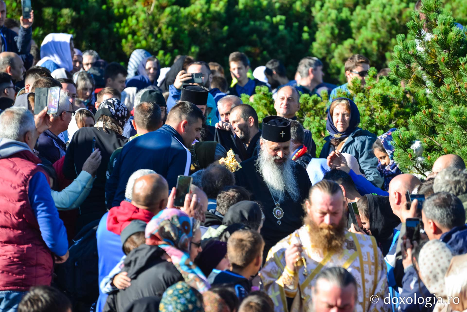 Întâmpinarea ierarhului