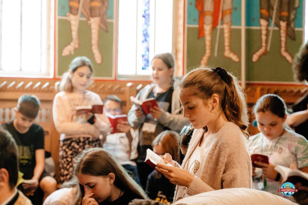 Tabăra „Floare de Colț” a dat start înscrierilor pentru 2024