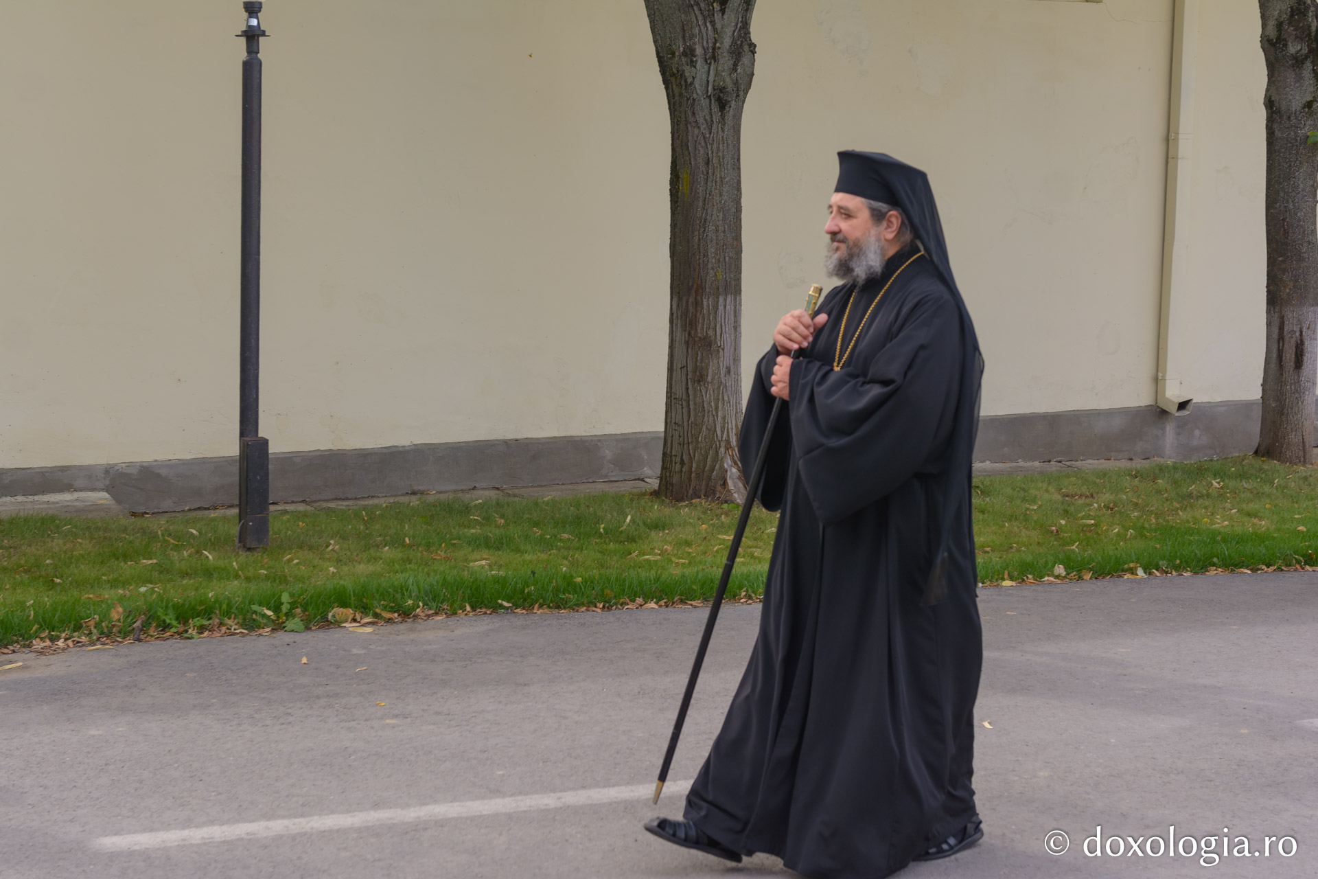 PS Nichifor Botoșăneanul