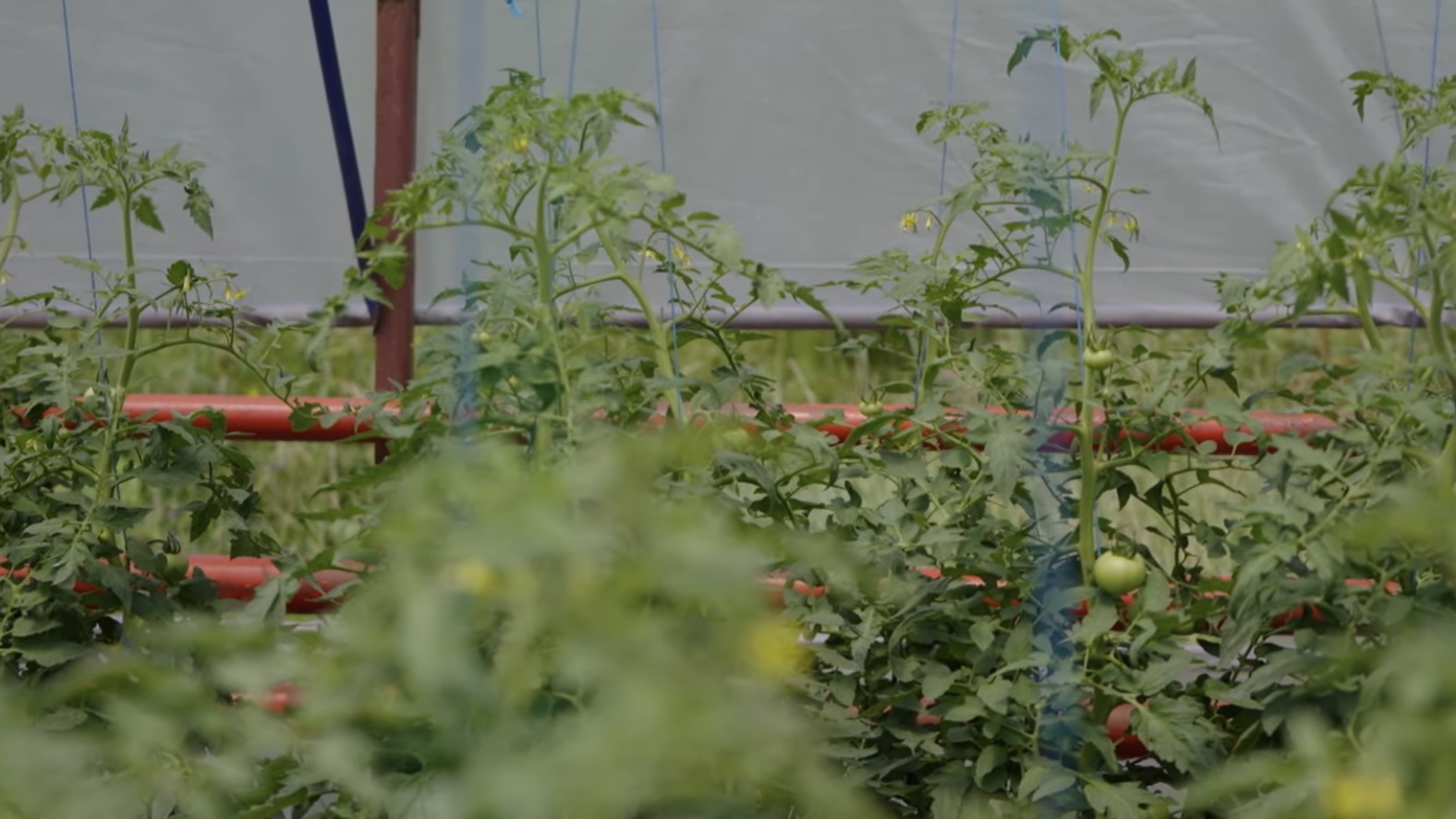 Solariul Mănăstirii Sihăstria