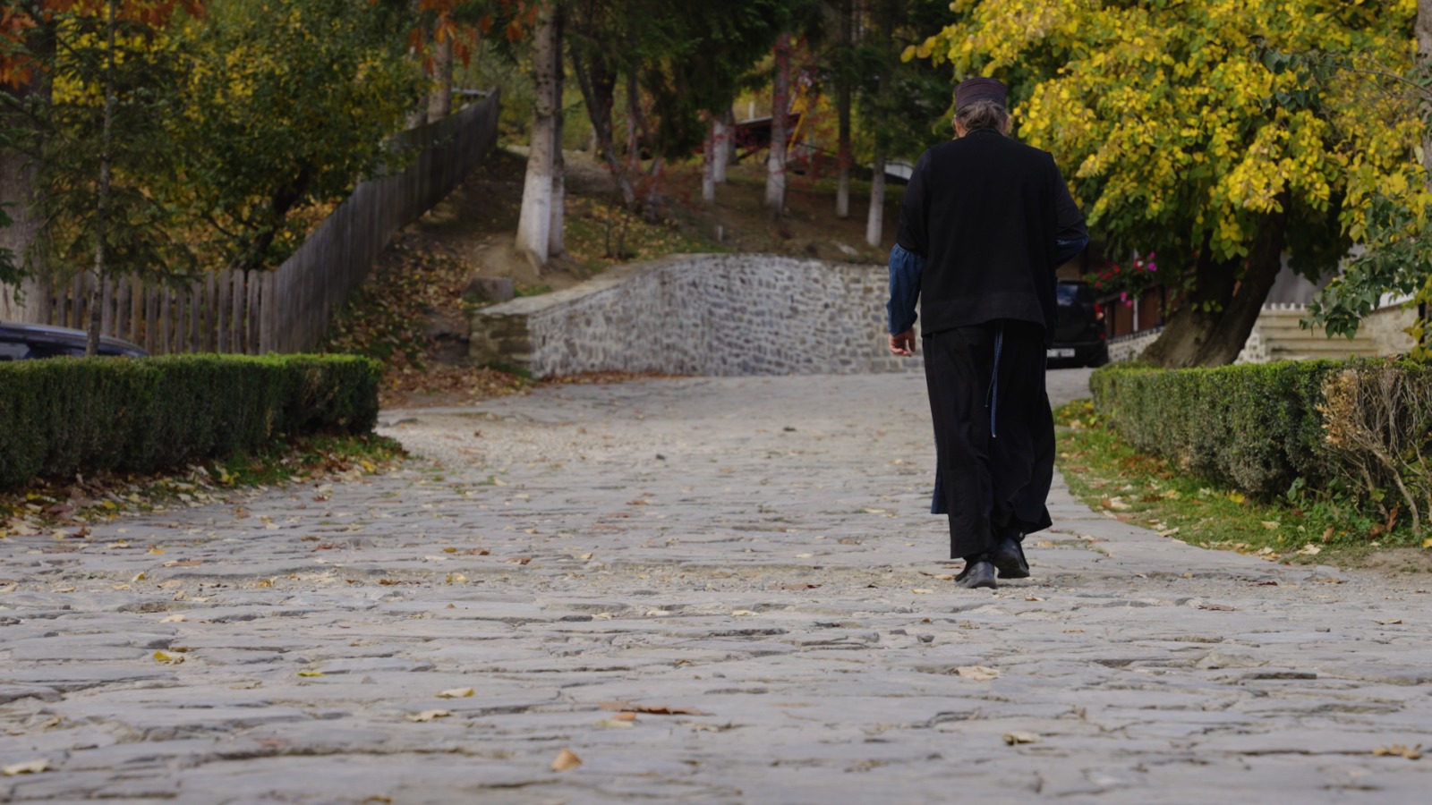 Părintele Ghelasie, plecând spre chilie