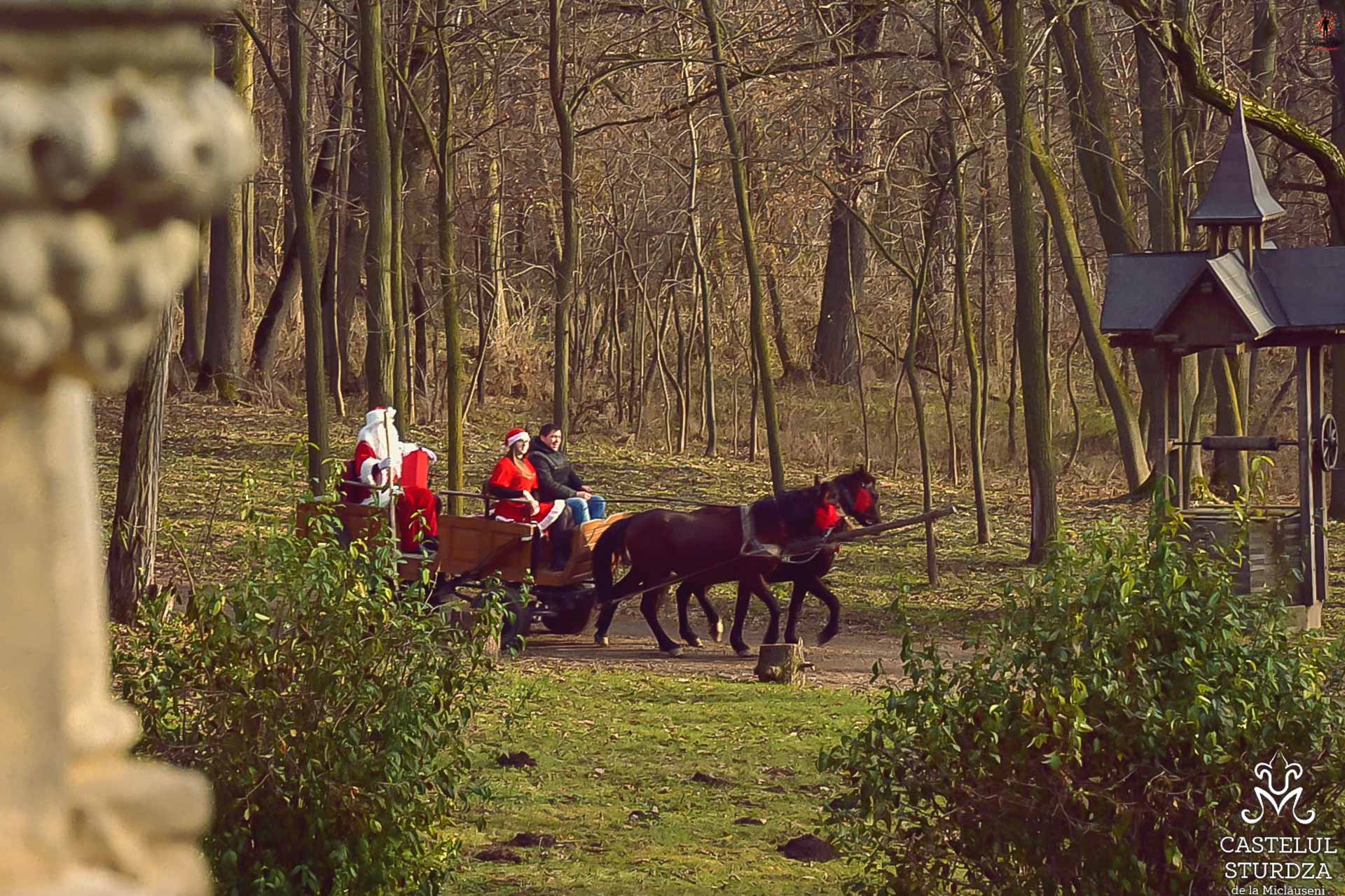 Moș Crăciun în trăsură