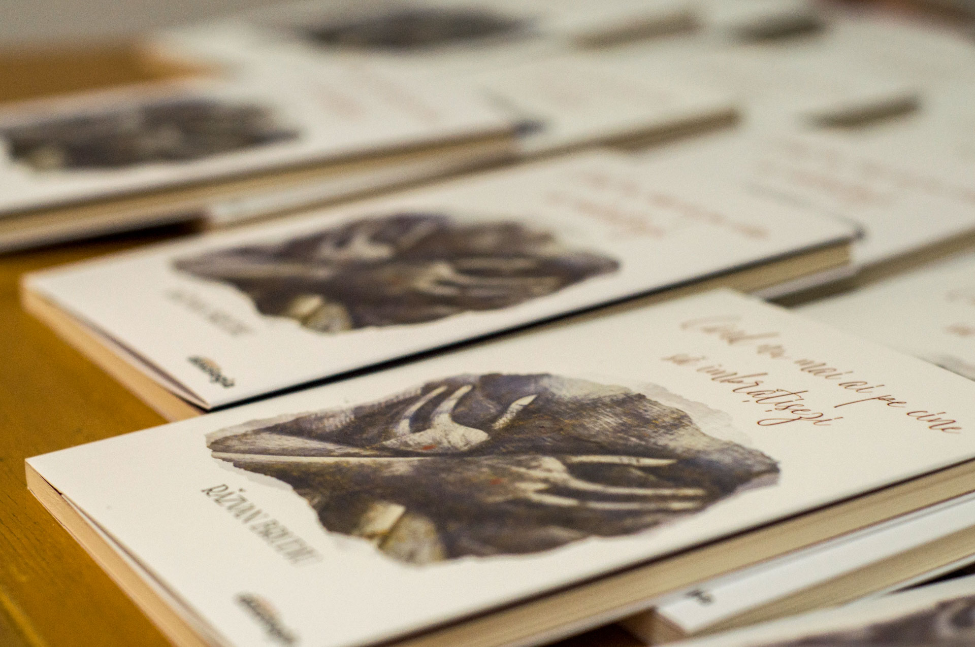 lansarea cărții „Când nu mai ai pe cine să îmbrățișezi”