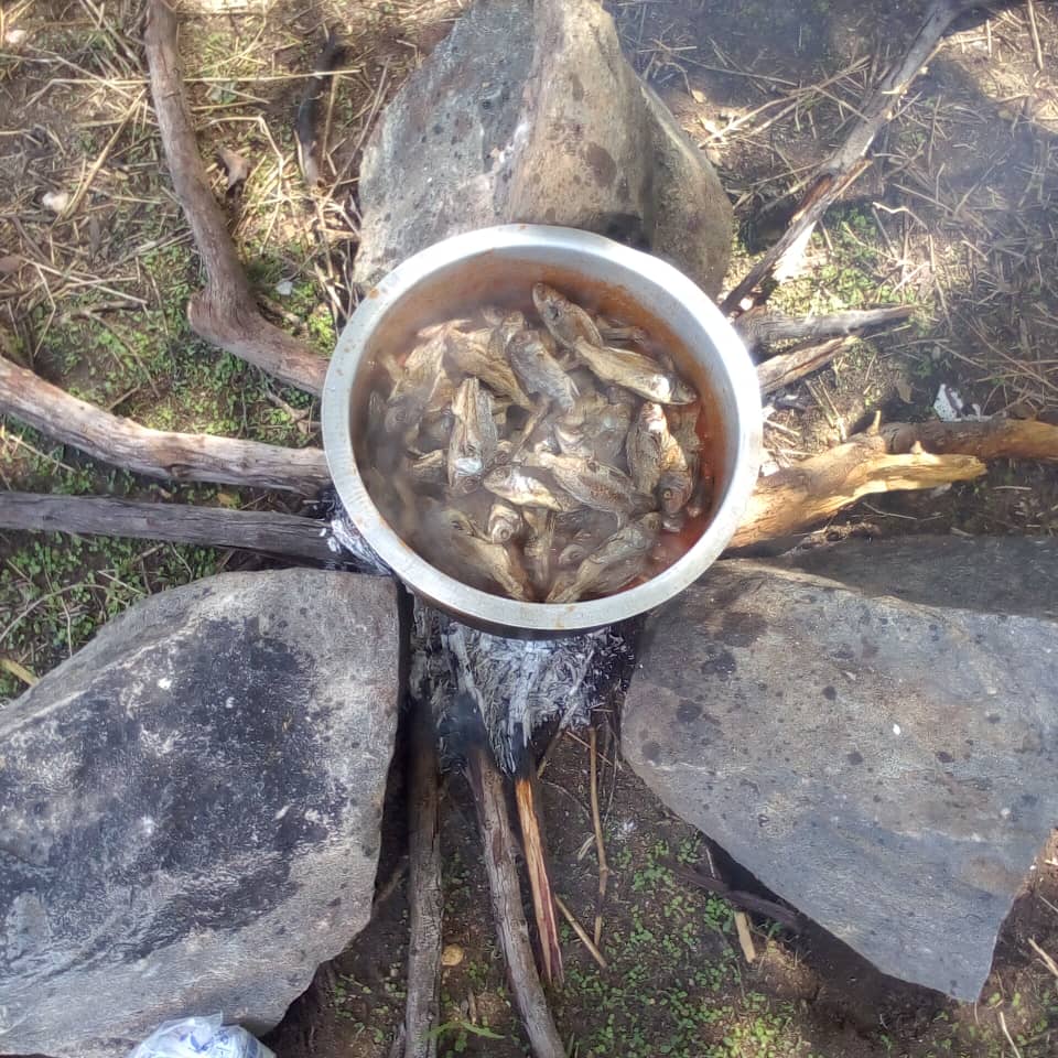 Pregatirea peştelui uscat la soare, samaki, pentru agapa de dupa liturghie