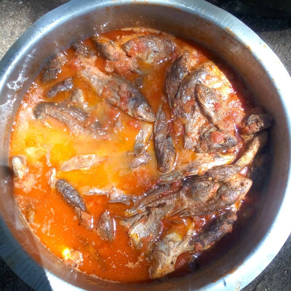 Pregatirea peştelui uscat la soare, samaki, pentru agapa de dupa liturghie