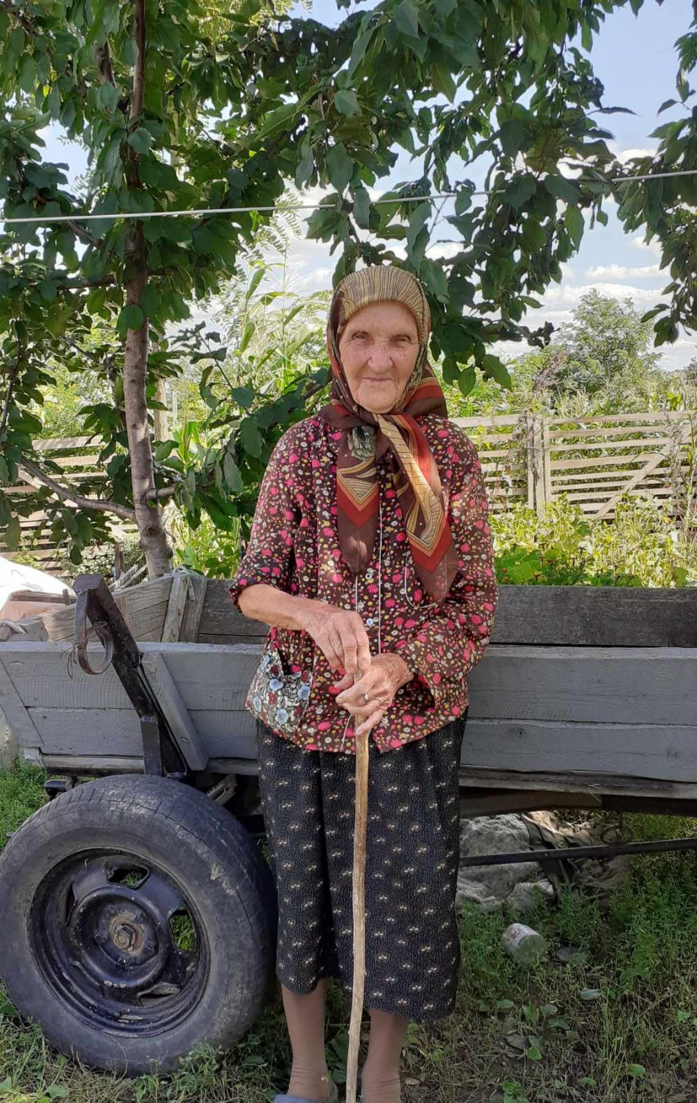 Bătârna Hareta Costaș