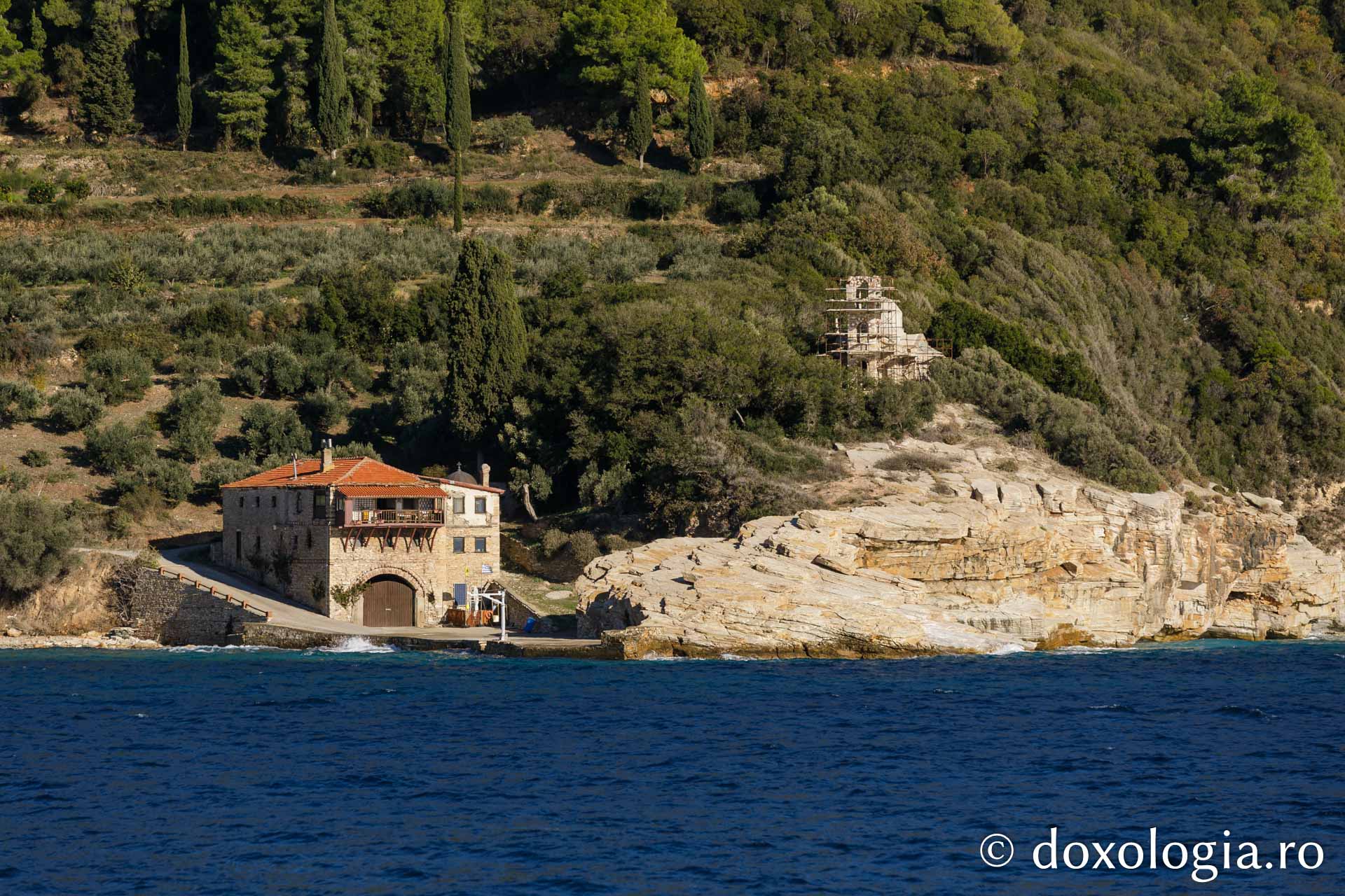 Arsanaua Mănăstirii Constamonitu