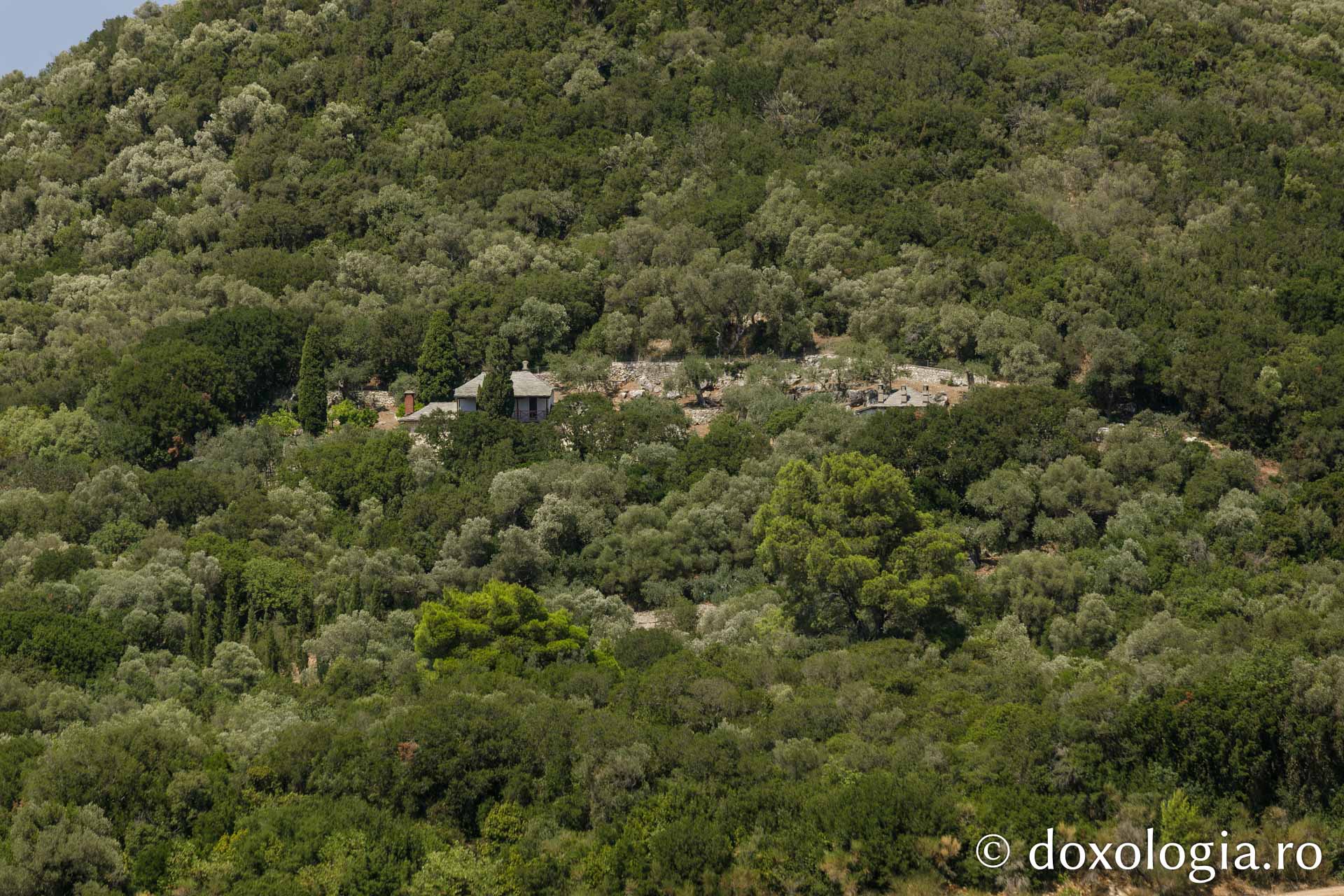 Chilia Sfântul Ștefan Samaria – Athos