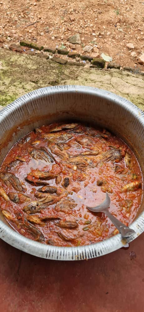 Sărbătoarea Bunei Vestiri, hram în parohia din satul Ipwasi