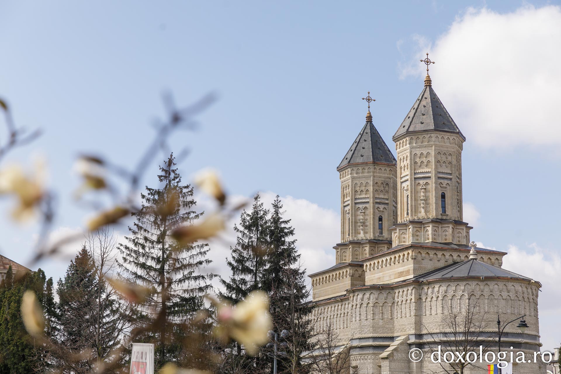 Flori de magnolii Mănăstirea Sfintii Trei Ierarhi