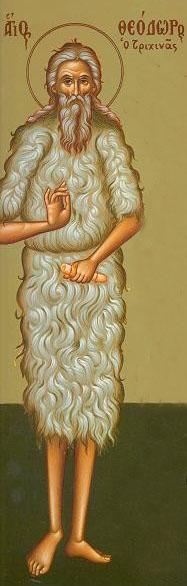 Sfântul Cuvios Teodor Trihina