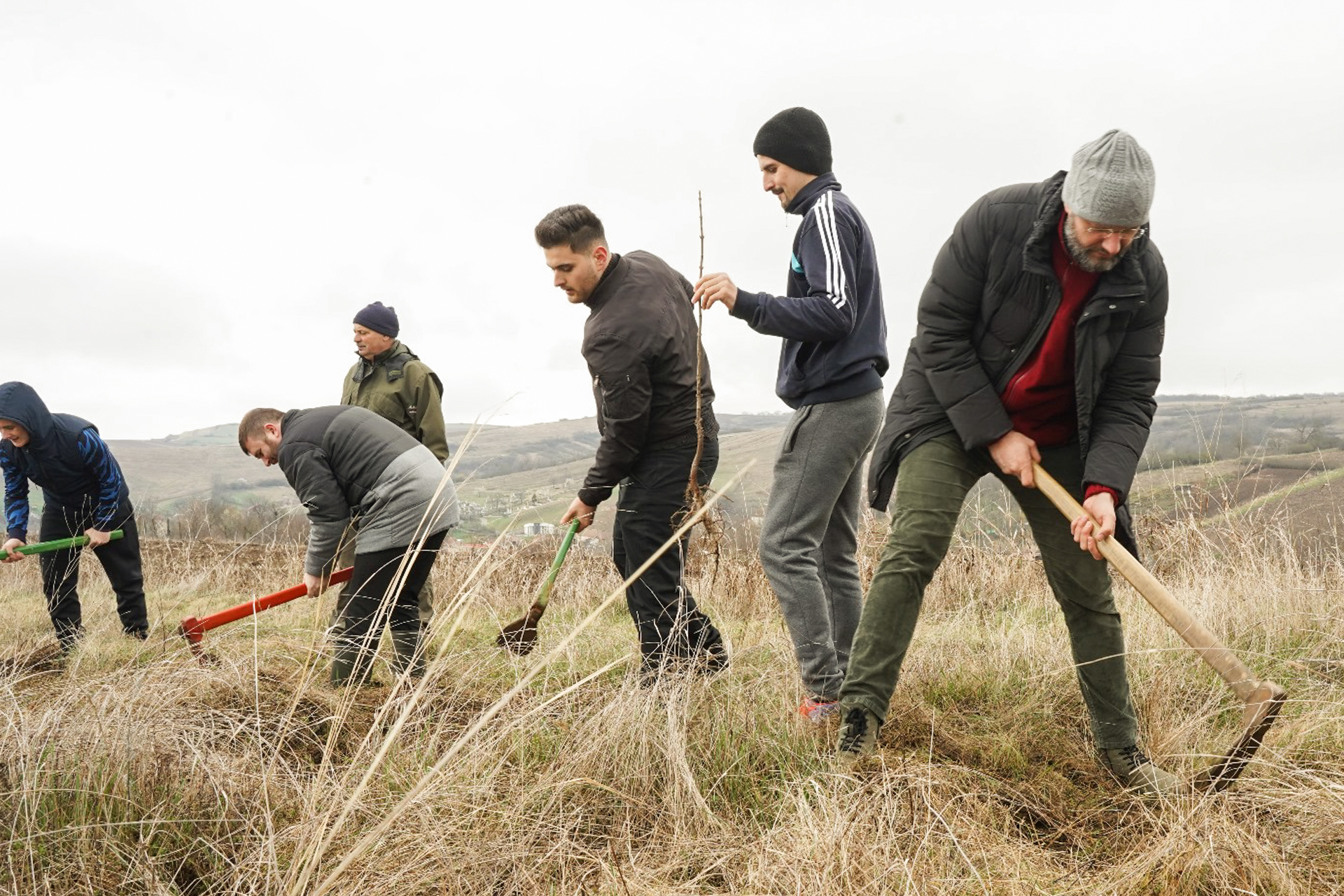 Ziua Mondială a Plantațiilor Forestiere, marcată de ASCOR Alba Iulia și Seminarul Teologic prin sădirea a 300 de puieți forestieri