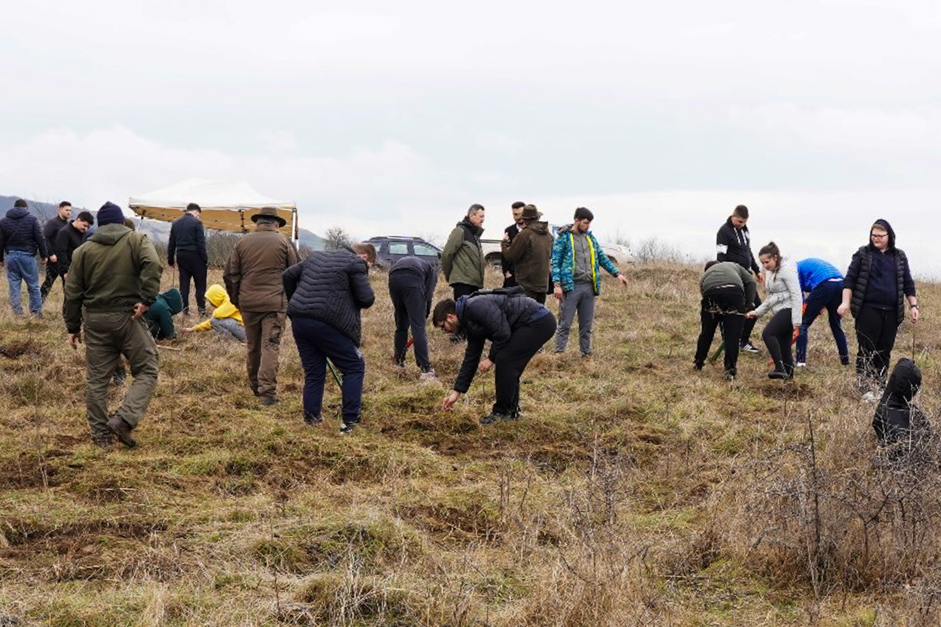 Ziua Mondială a Plantațiilor Forestiere, marcată de ASCOR Alba Iulia și Seminarul Teologic prin sădirea a 300 de puieți forestieri