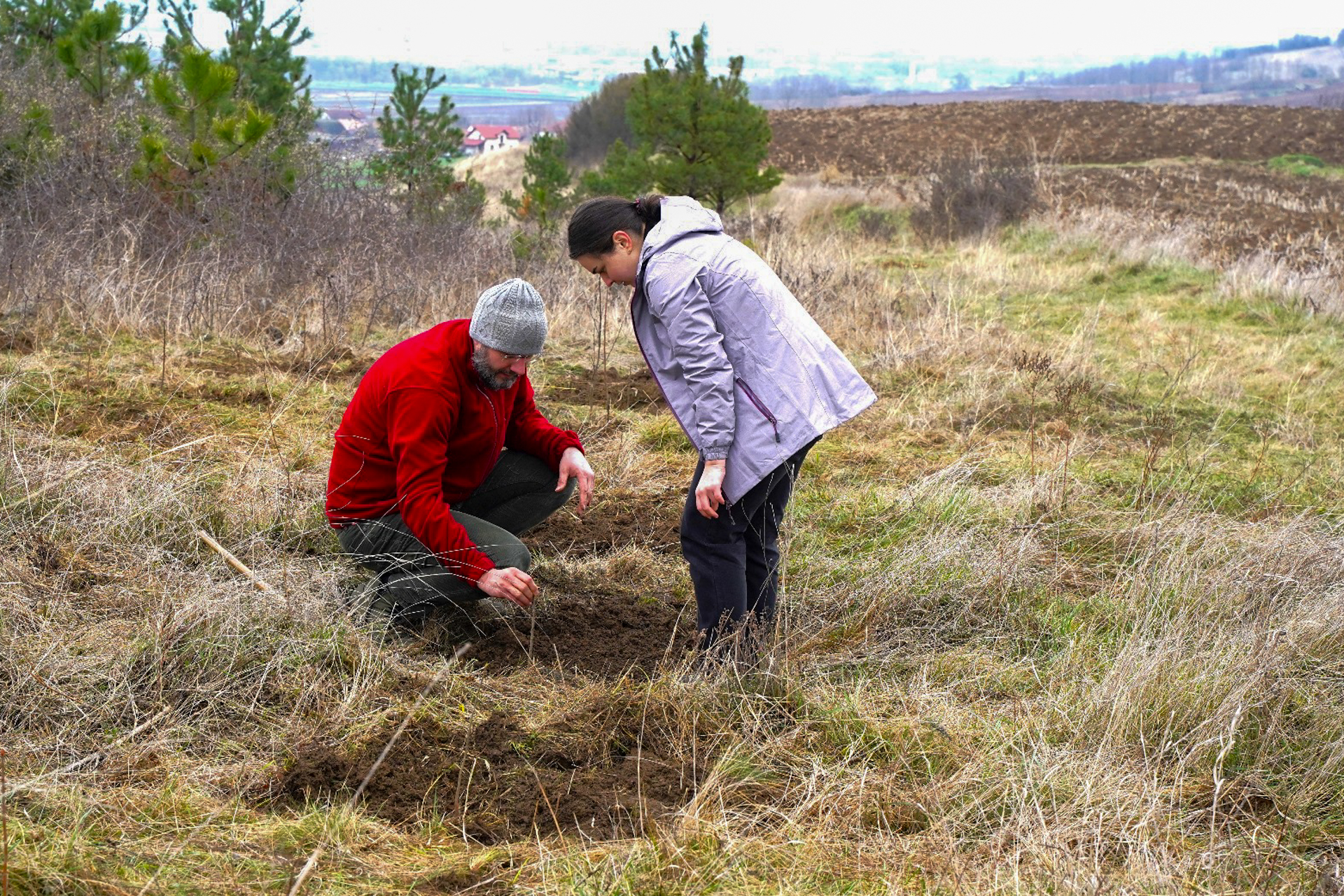 Ziua Mondială a Plantațiilor Forestiere, marcată de ASCOR Alba Iulia și Seminarul Teologic prin sădirea a 300 de puieți forestieri