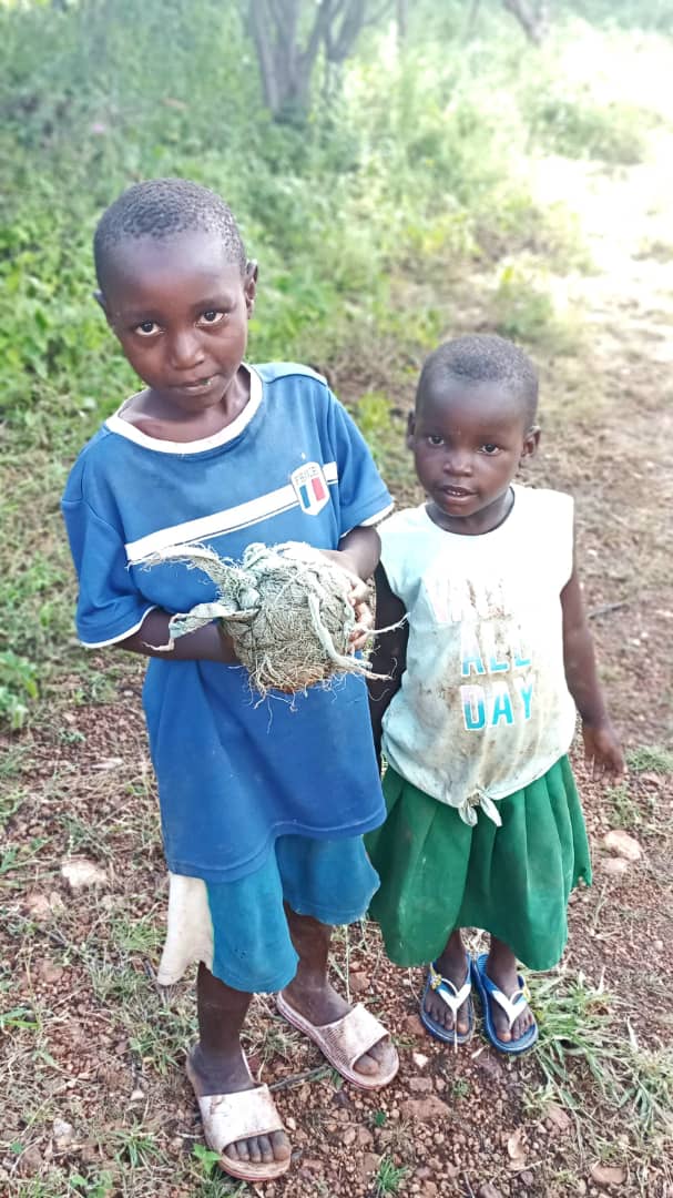 Golgheterii și mingea lor de poveste