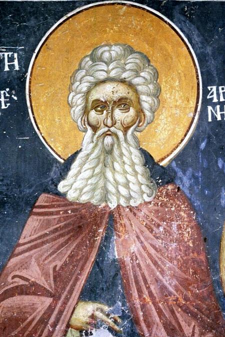 Sfântul Cuvios Arsenie cel Mare Sfântul Cuvios Arsenie cel Mare