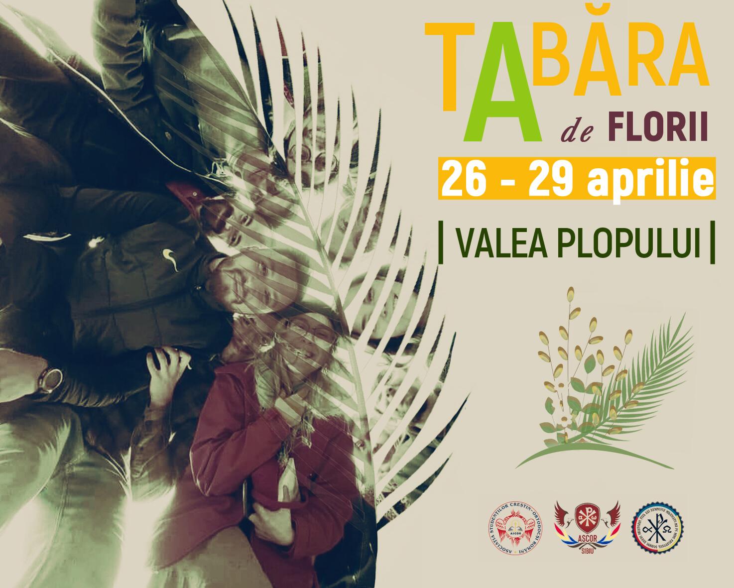 Au început înscrierile pentru Tabăra ASCOR Brașov de la Valea Plopului