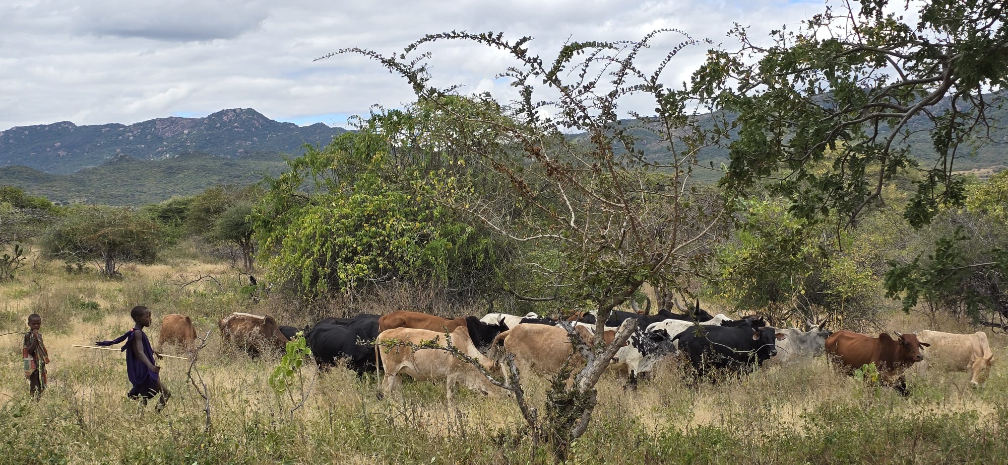 Massaii din Ipwasi, vizitați de Părintele Mitropolit Teofan