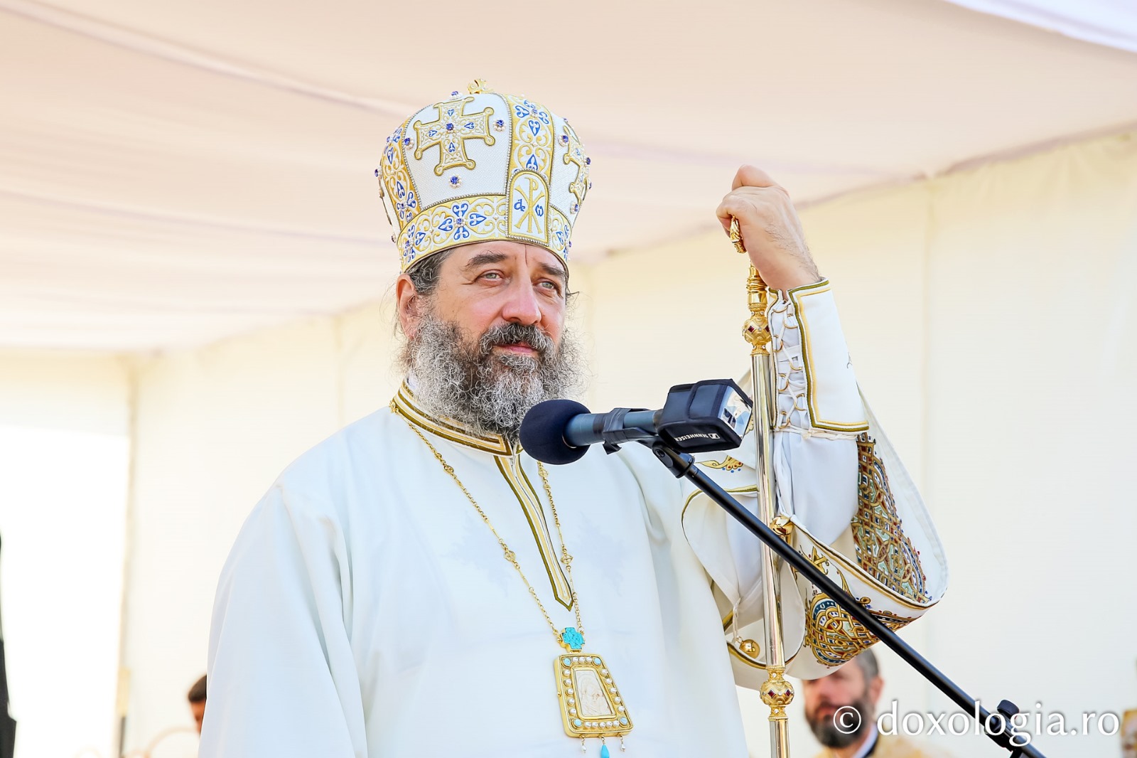 PS Nichifor Botoșăneanul, Episcop-vicar al Arhiepiscopiei Iașilor