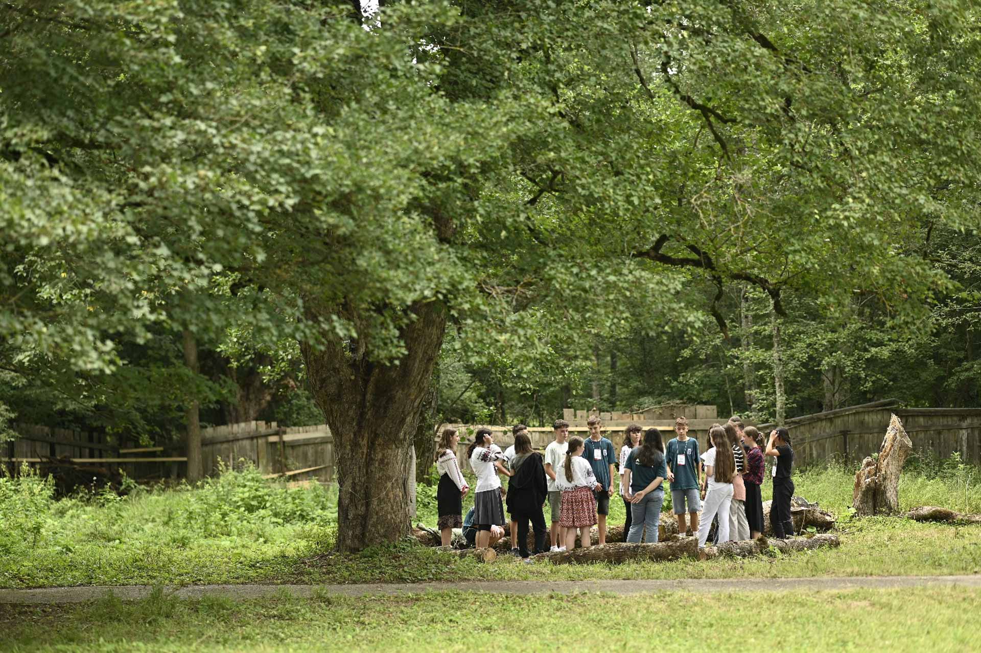 Tabăra Nemțișor – de 15 ani împreună într-o poveste fără sfârșit