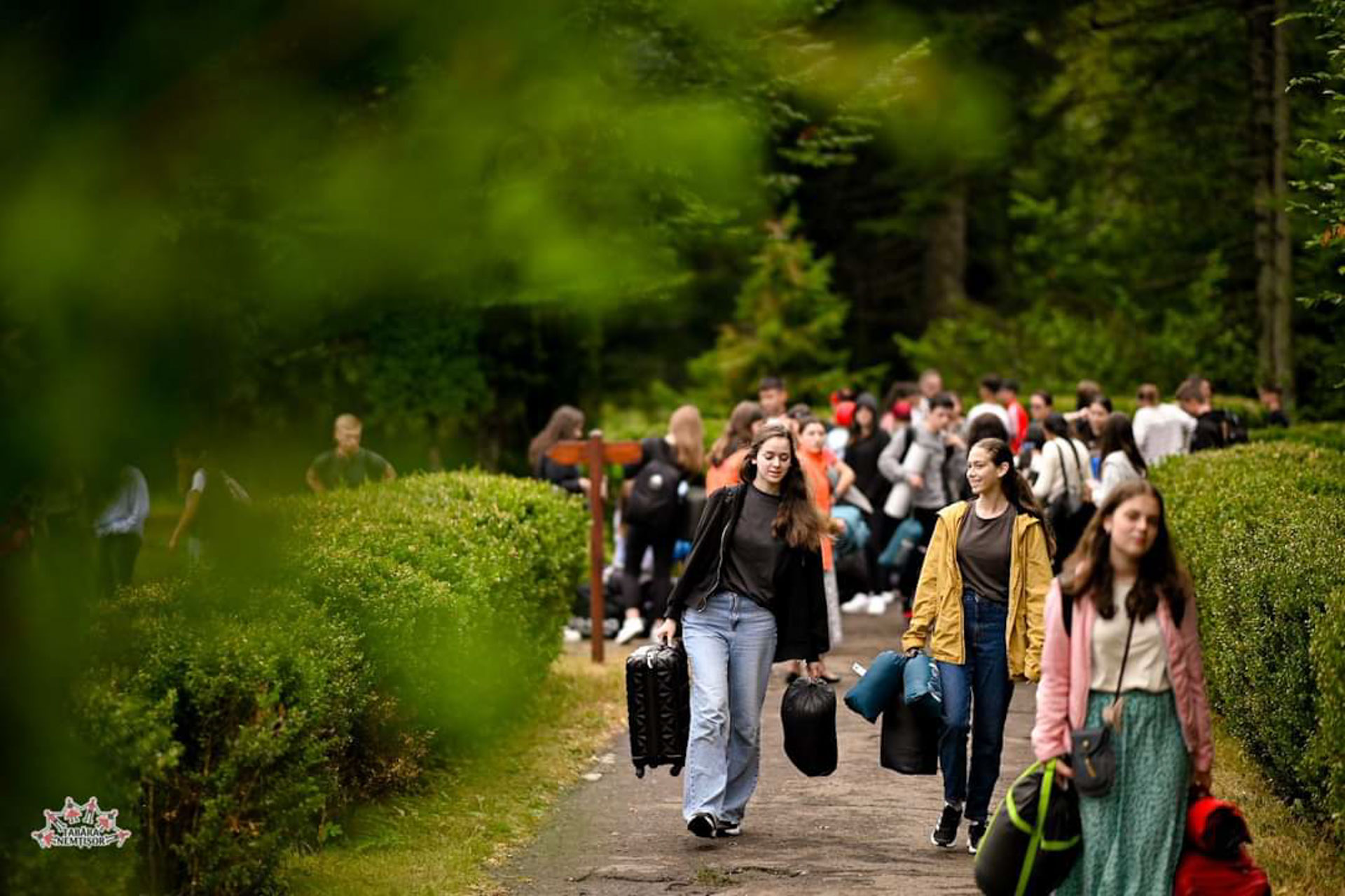 Tabăra Nemțișor – de 15 ani împreună într-o poveste fără sfârșit