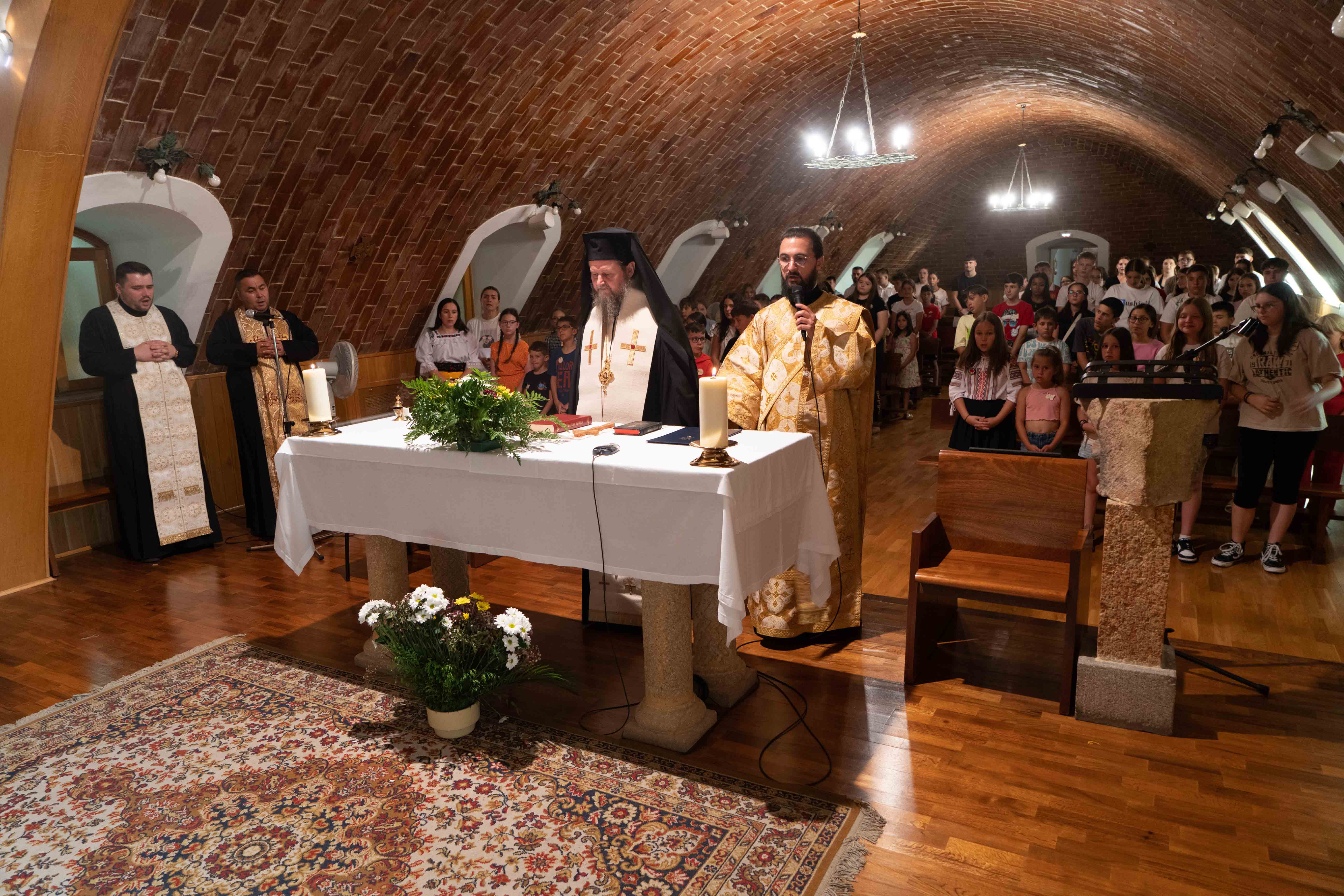 Tabăra Tinerilor NEPSIS Spania