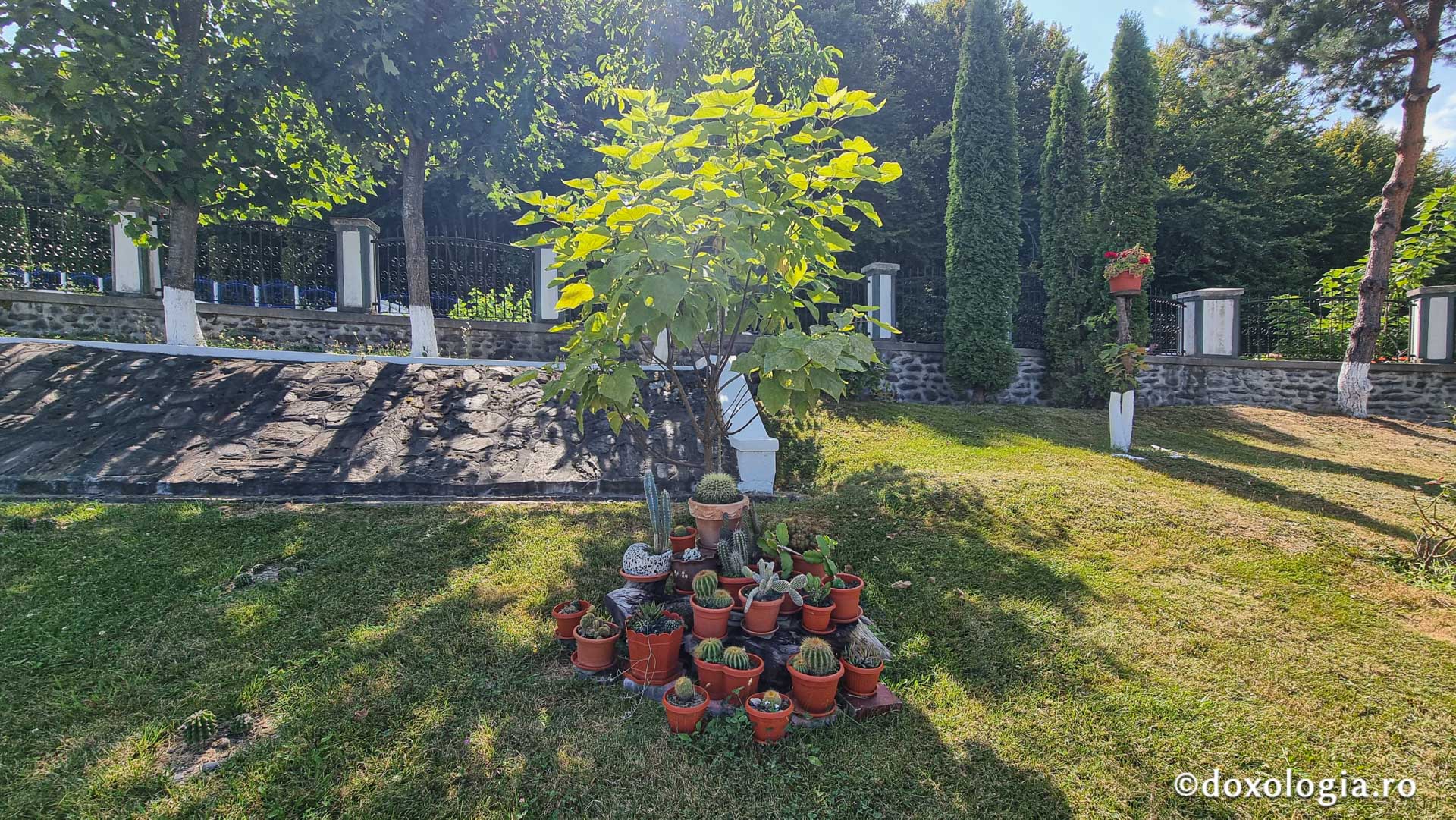 Mănăstirea „Sfinții Apostoli Petru și Pavel” – Cârțișoara, Sibiu / Foto: Crina Zamfirescu Mănăstirea „Sfinții Apostoli Petru și Pavel” – Cârțișoara, Sibiu